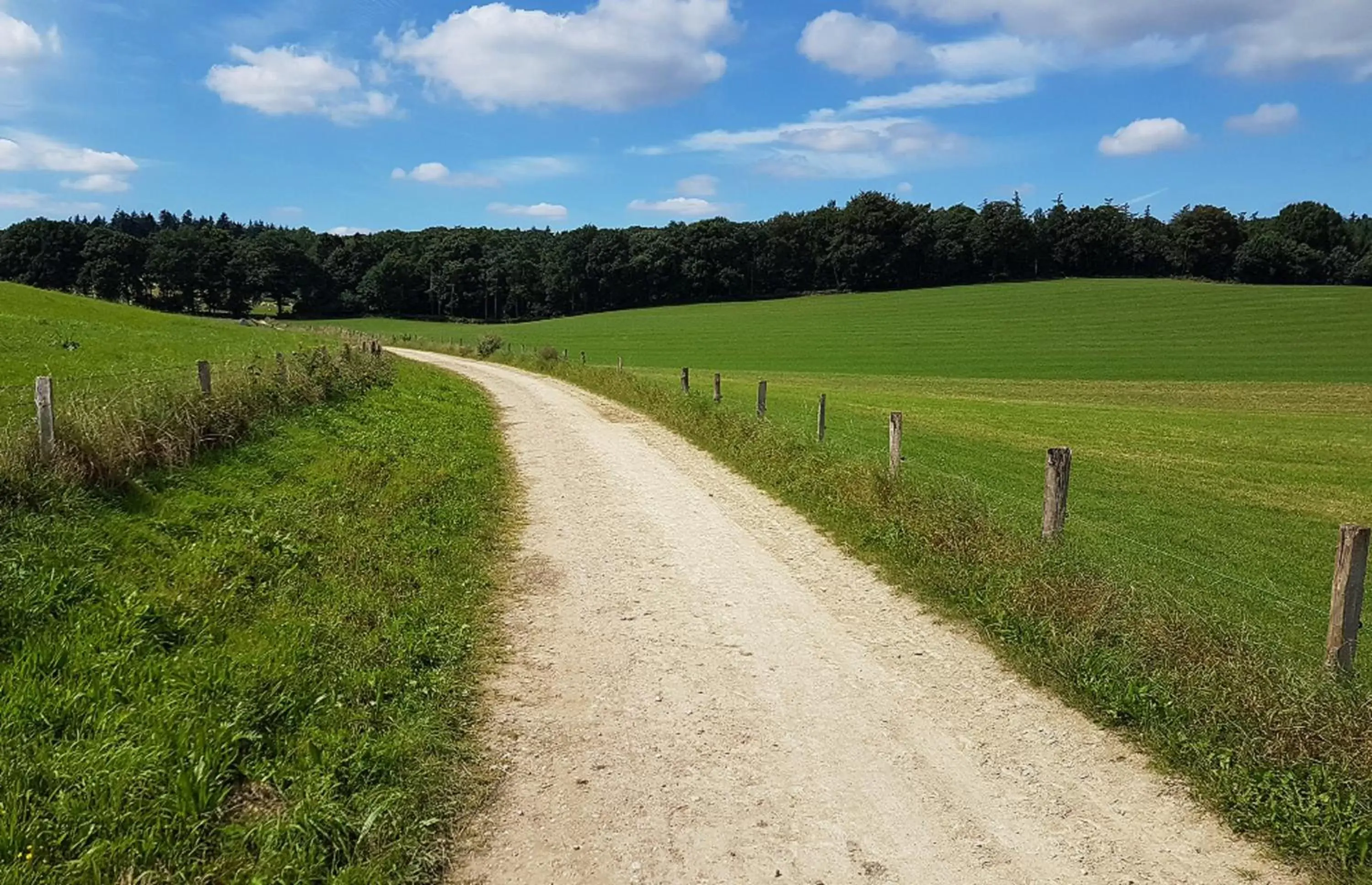 Natural landscape, Garden in Bed & Breakfast "Aan de Bagijnstraat".