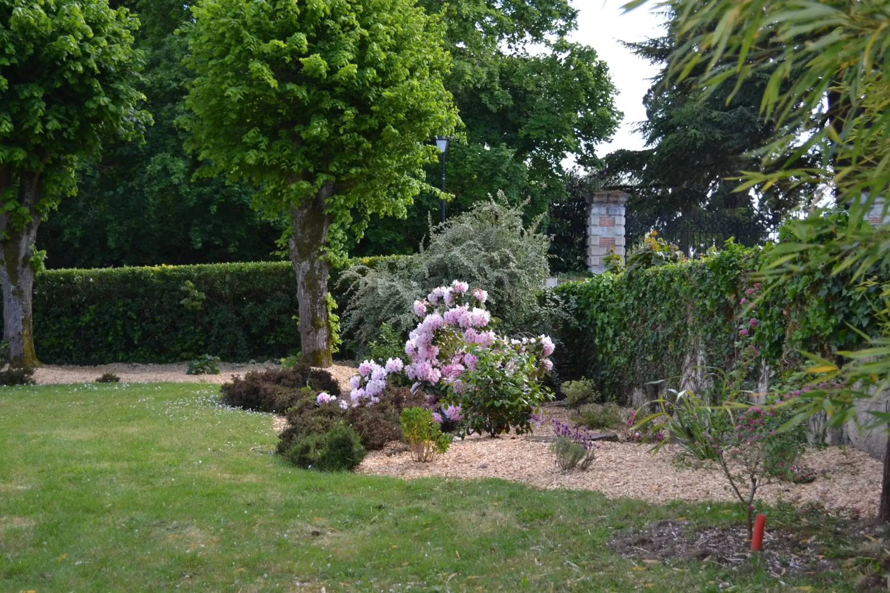 Garden in Hôtel Le Castel