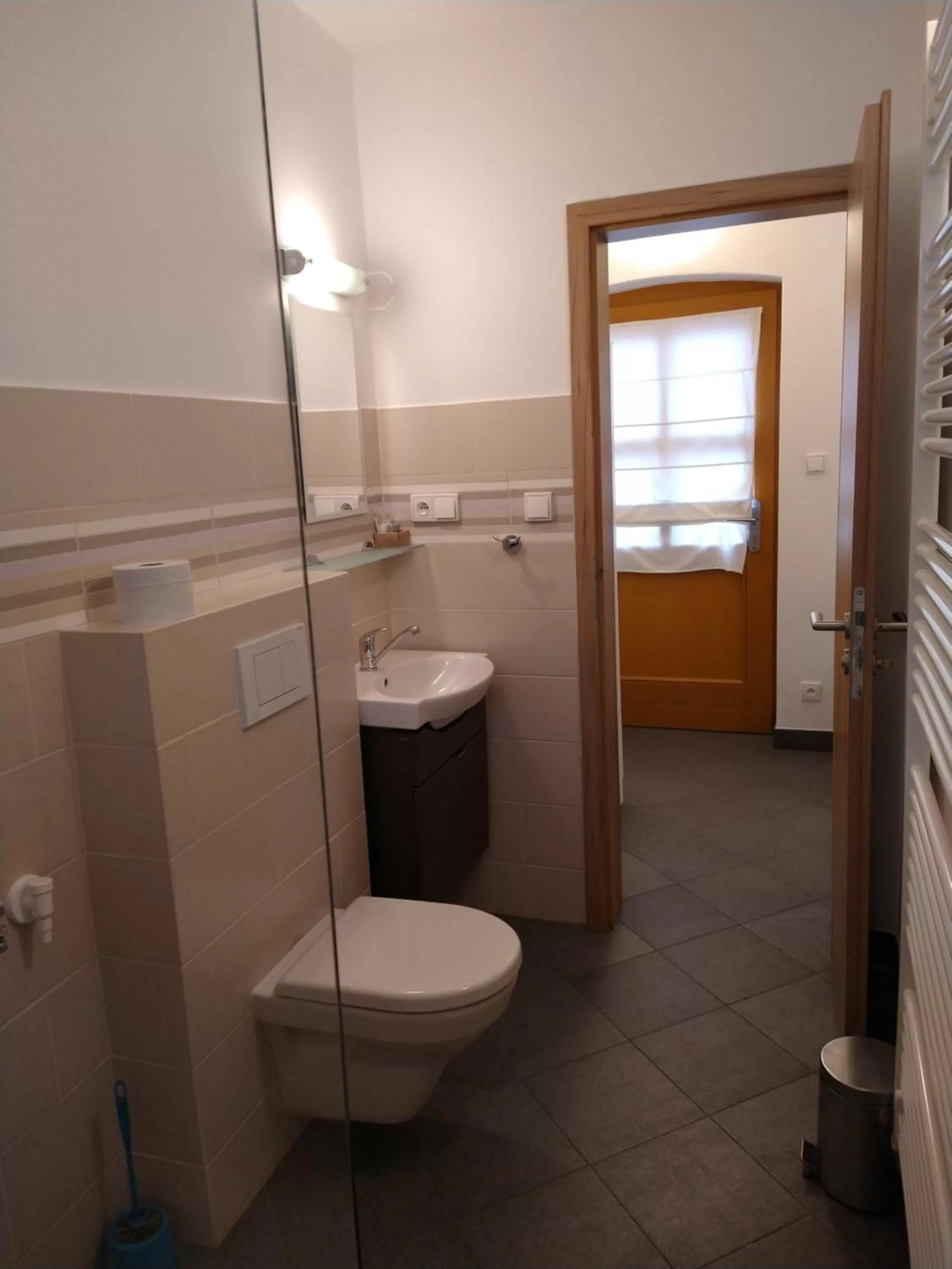 Toilet in Apartmány Malý mnich