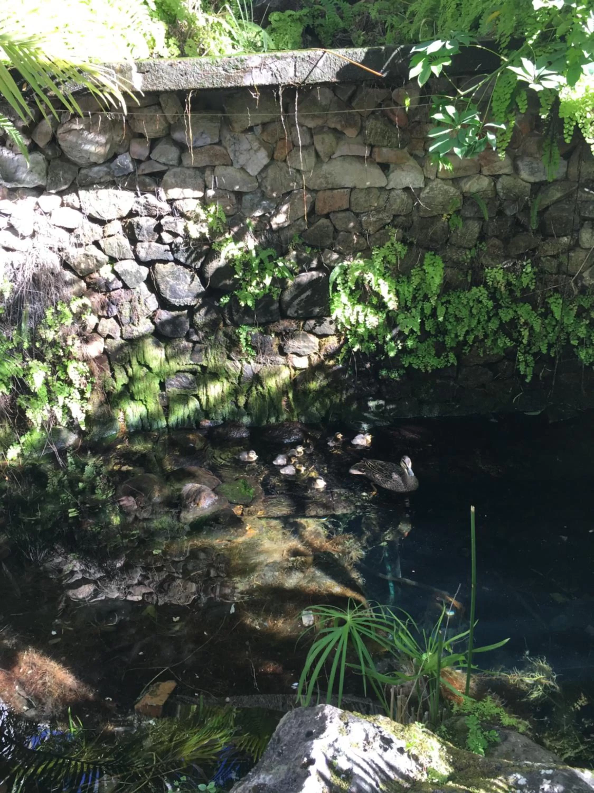 Copacabana Apartments