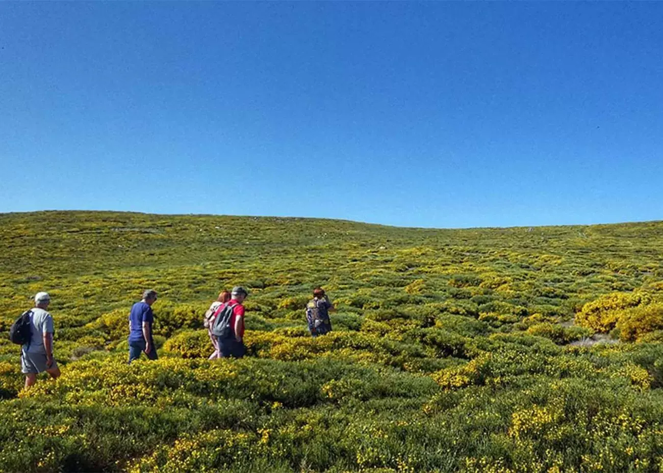 Natural landscape in Casa das Penhas Douradas - Burel Mountain Hotels