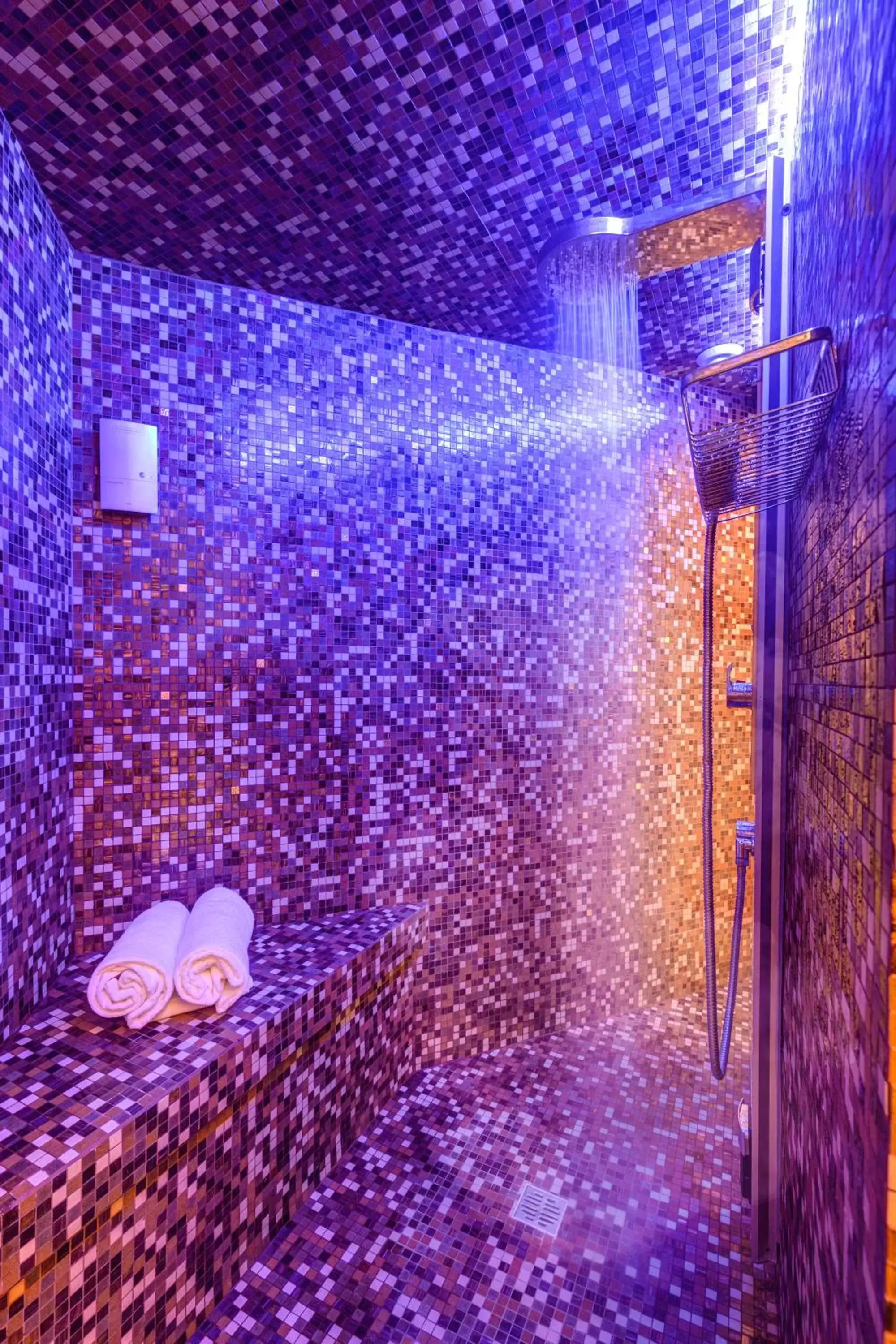 Shower in Dharma Luxury Hotel