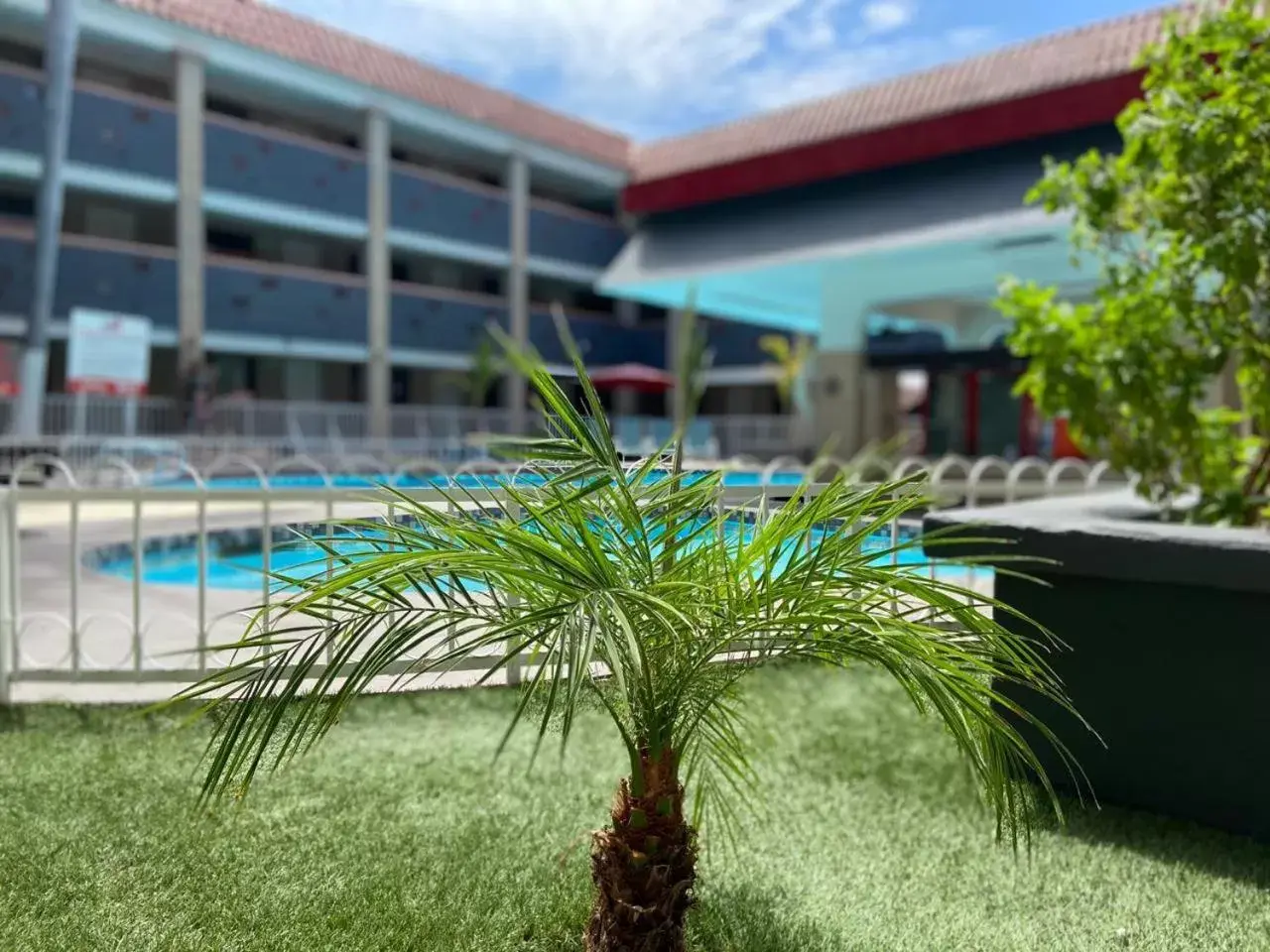 Pool view, Property Building in Hotel La Finca