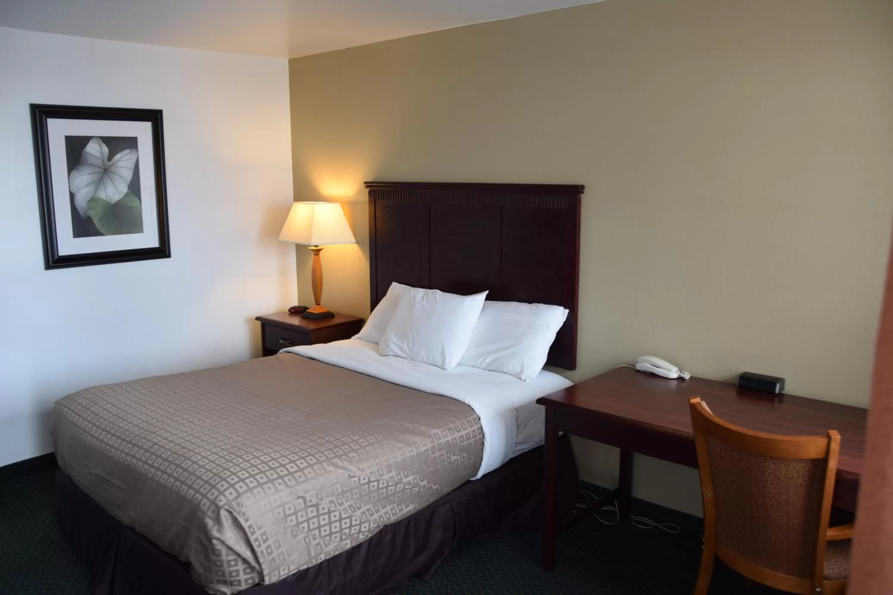 TV and multimedia, Bed in National 9 Mount Nebo