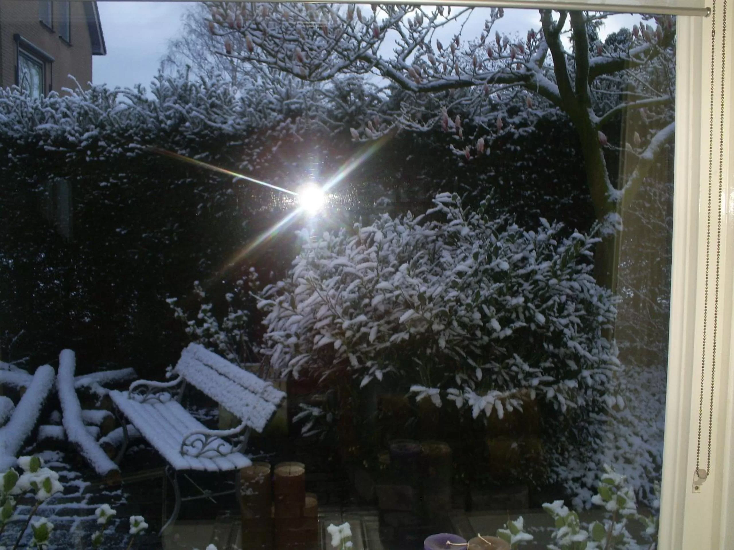 Garden view in Bed and Breakfast Azzurro