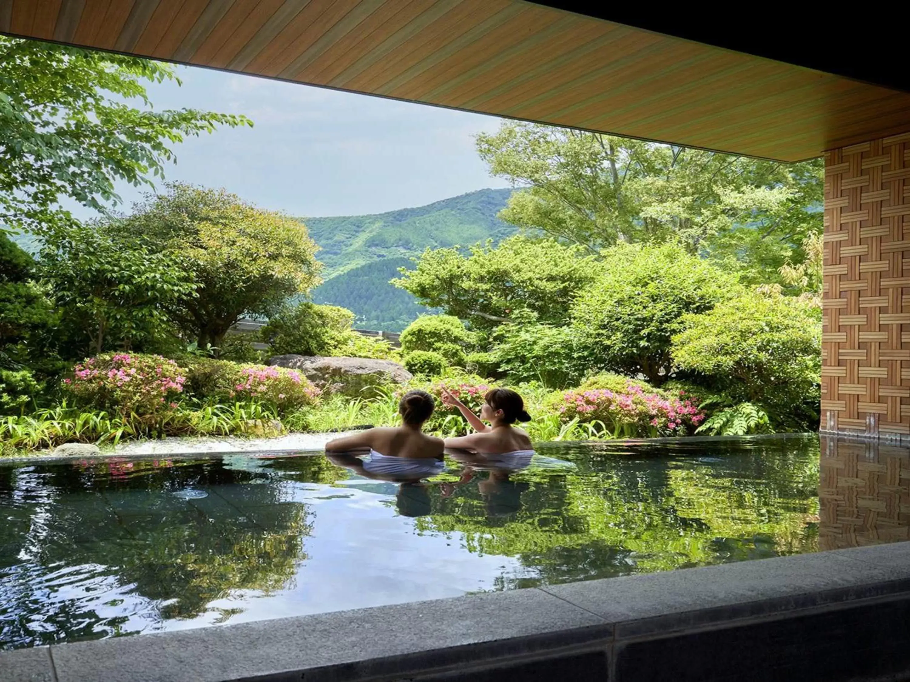 Hot Spring Bath, Swimming Pool in Hakone Sengokuhara Prince Hotel
