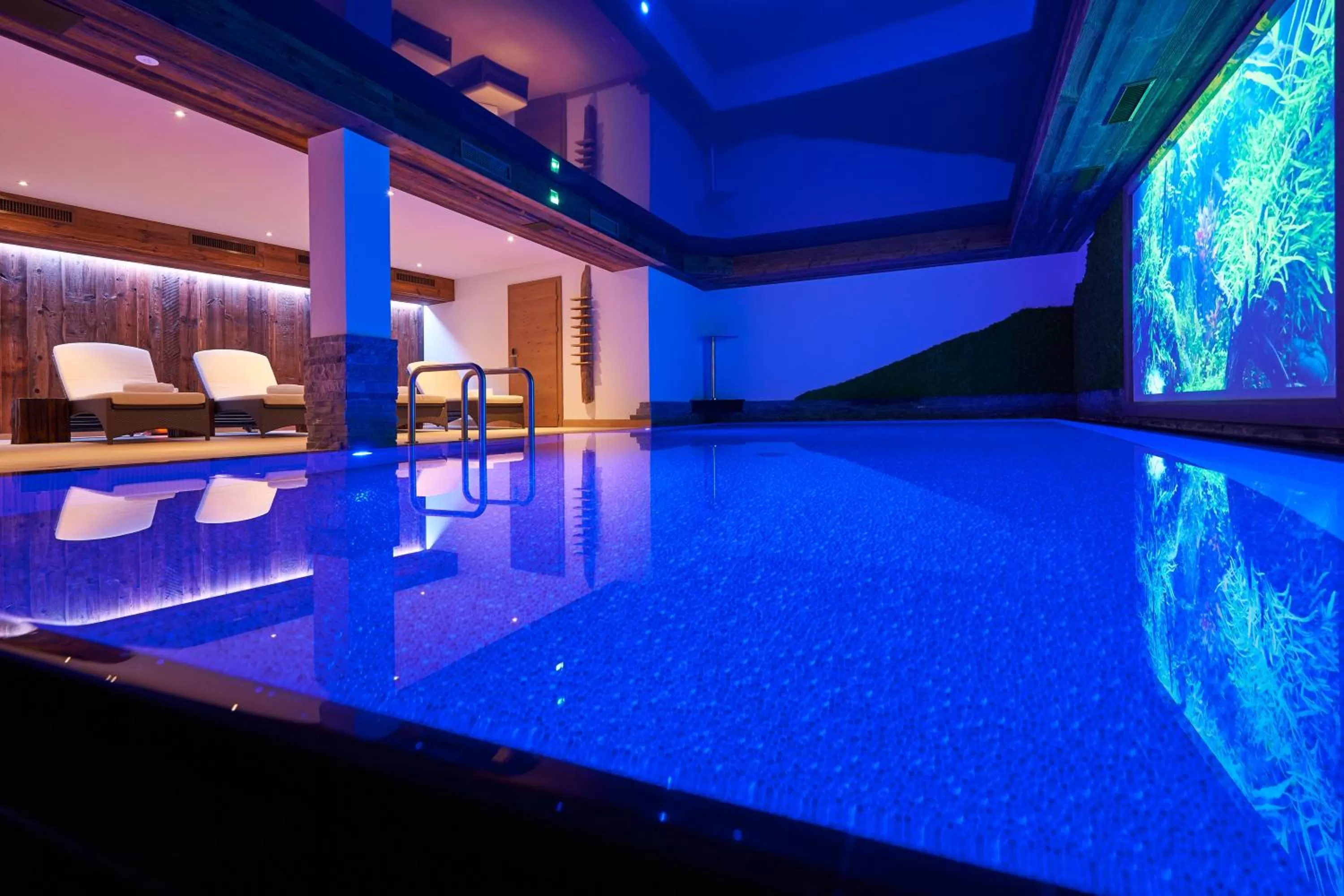 Swimming pool in Boutique Hotel Herzhof - Garni-Appartements - Adults Only