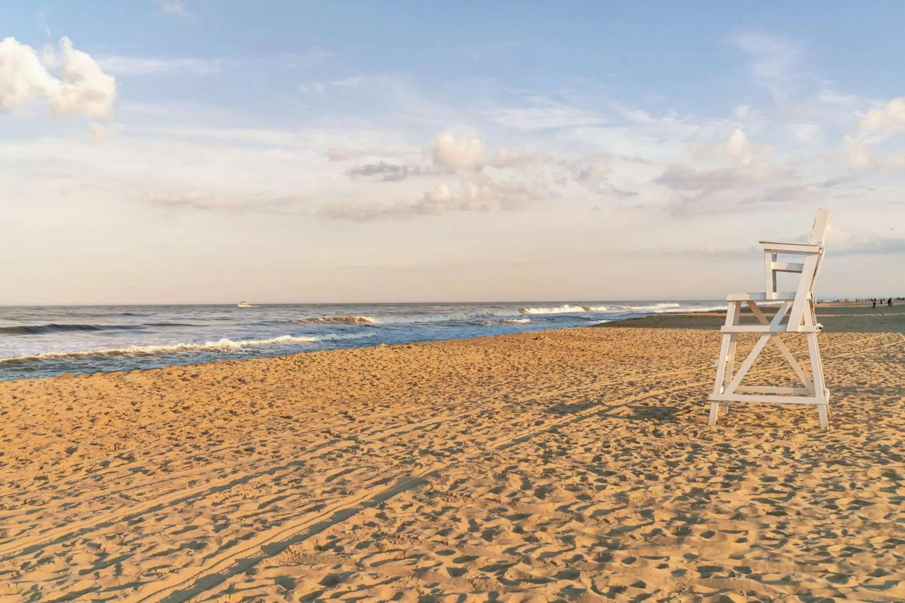 Sports, Beach in DoubleTree by Hilton Ocean City Oceanfront