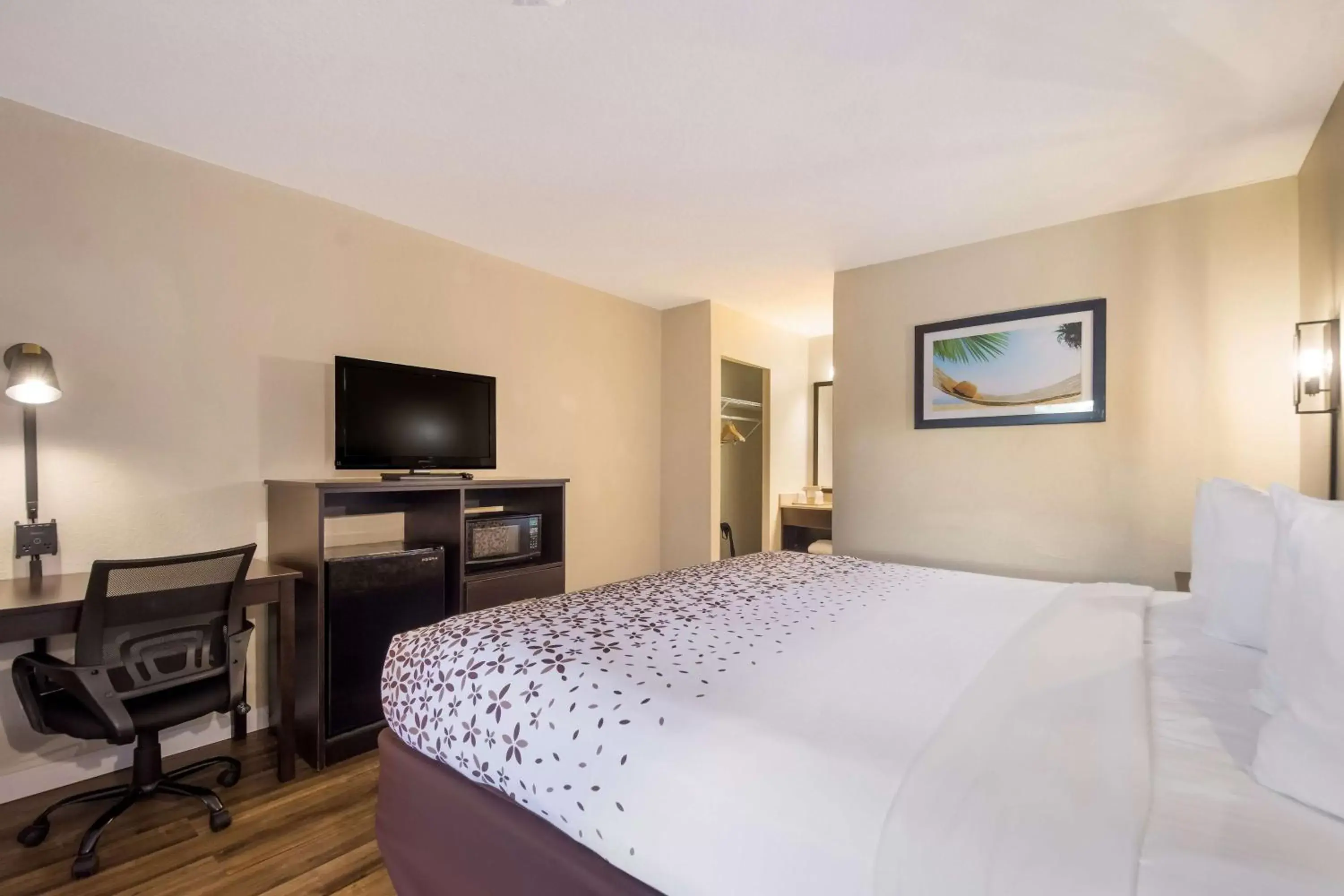 Bedroom, Bed in SureStay Hotel by Best Western St Pete Clearwater Airport