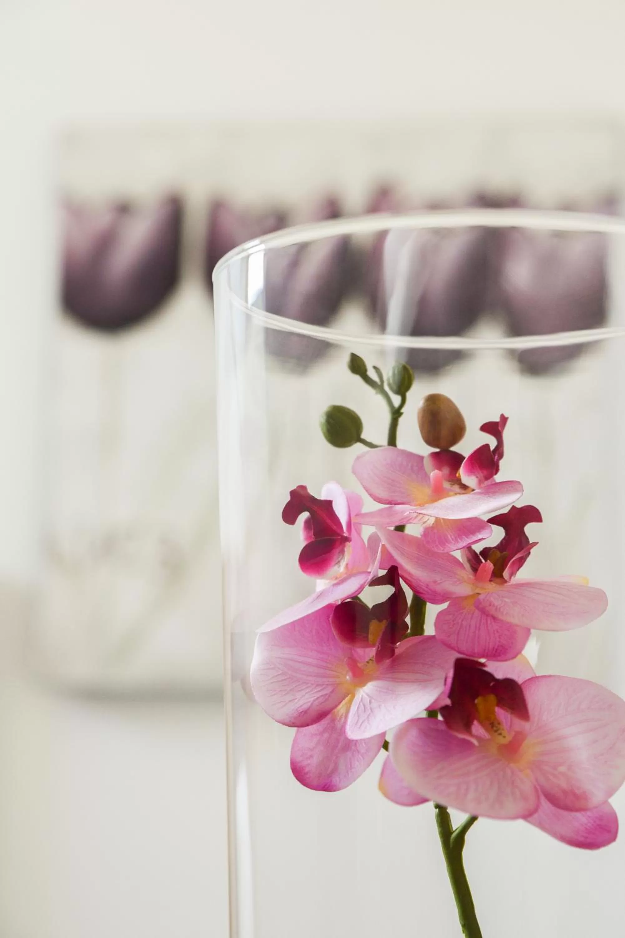 Decorative detail in Hotel Meduza