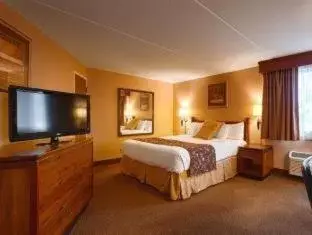 King Room with Roll-In Shower - Mobility Accessible/Non-Smoking in SureStay Plus Hotel by Best Western Black River Falls