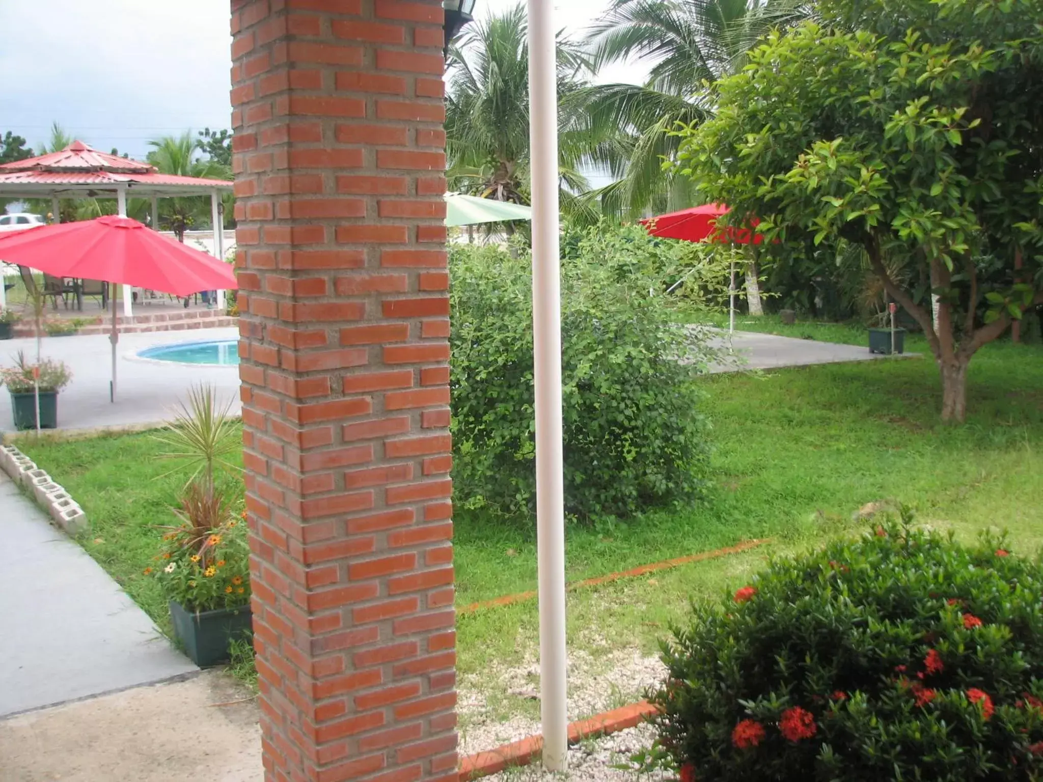 Swimming pool in Hotel La Arena