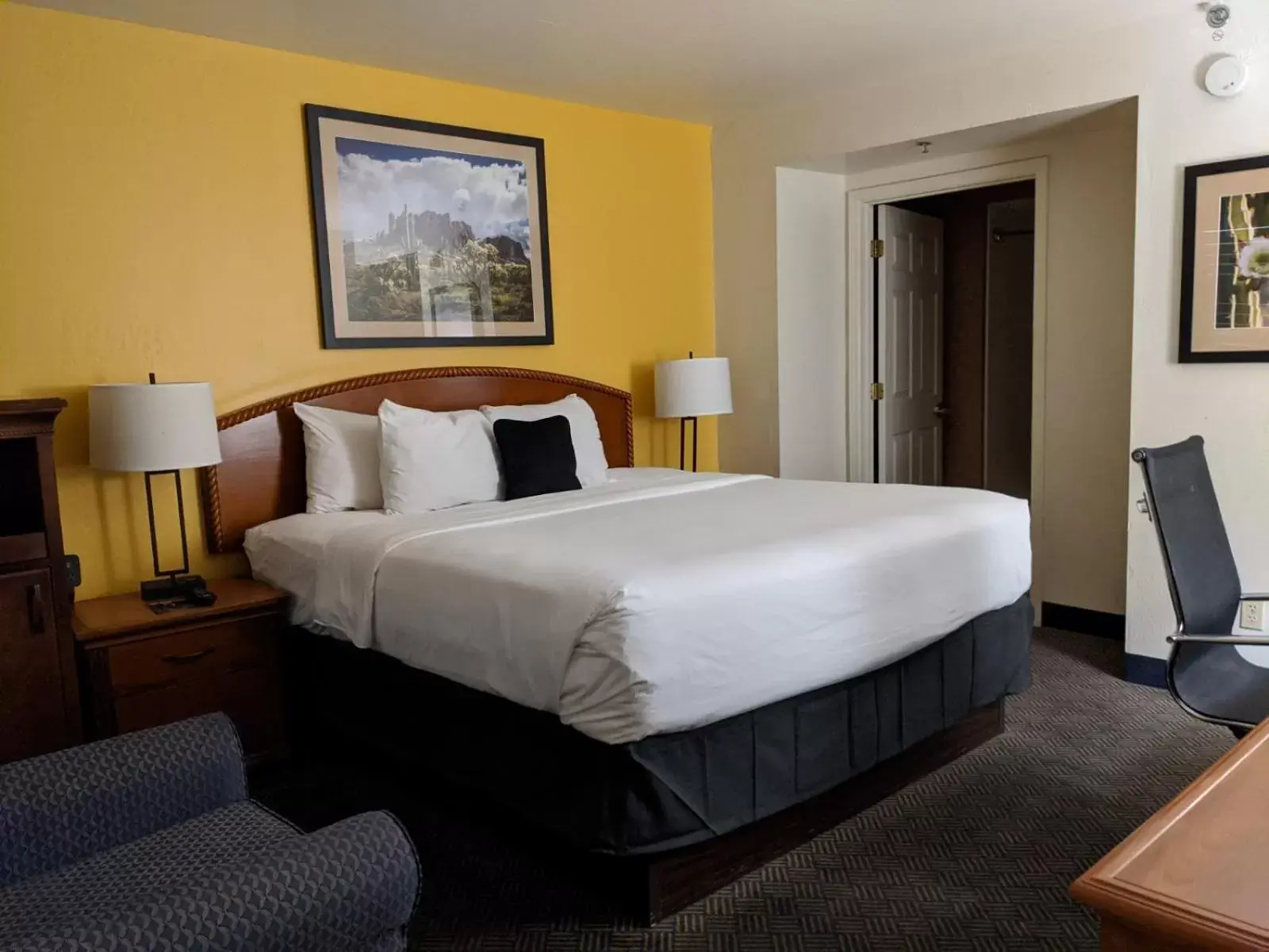 Bed in SureStay Plus Hotel by Best Western Tempe University