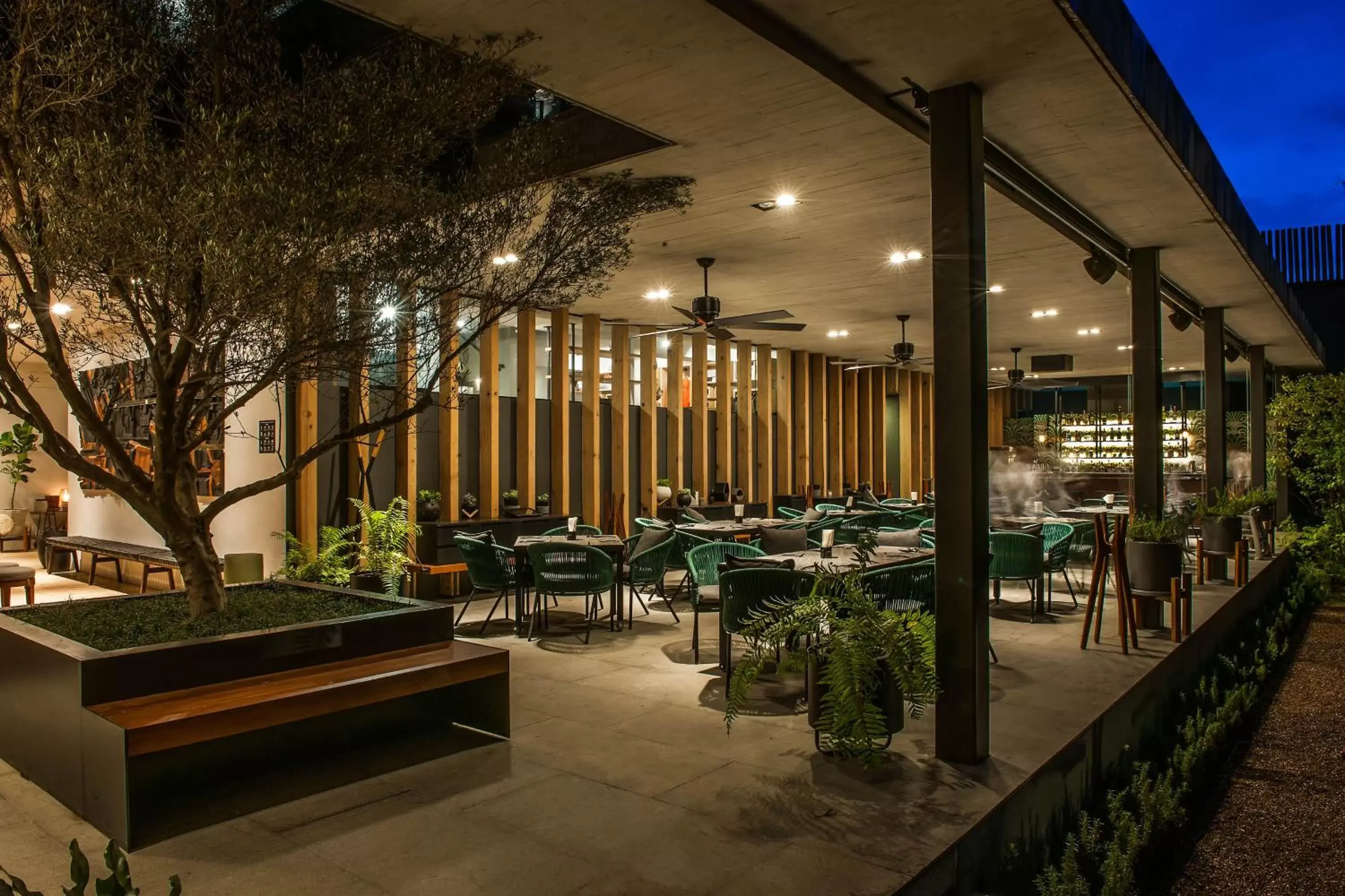 Restaurant/places to eat in Cinco Rodavento Restaurant/places to eat in Cinco Rodavento