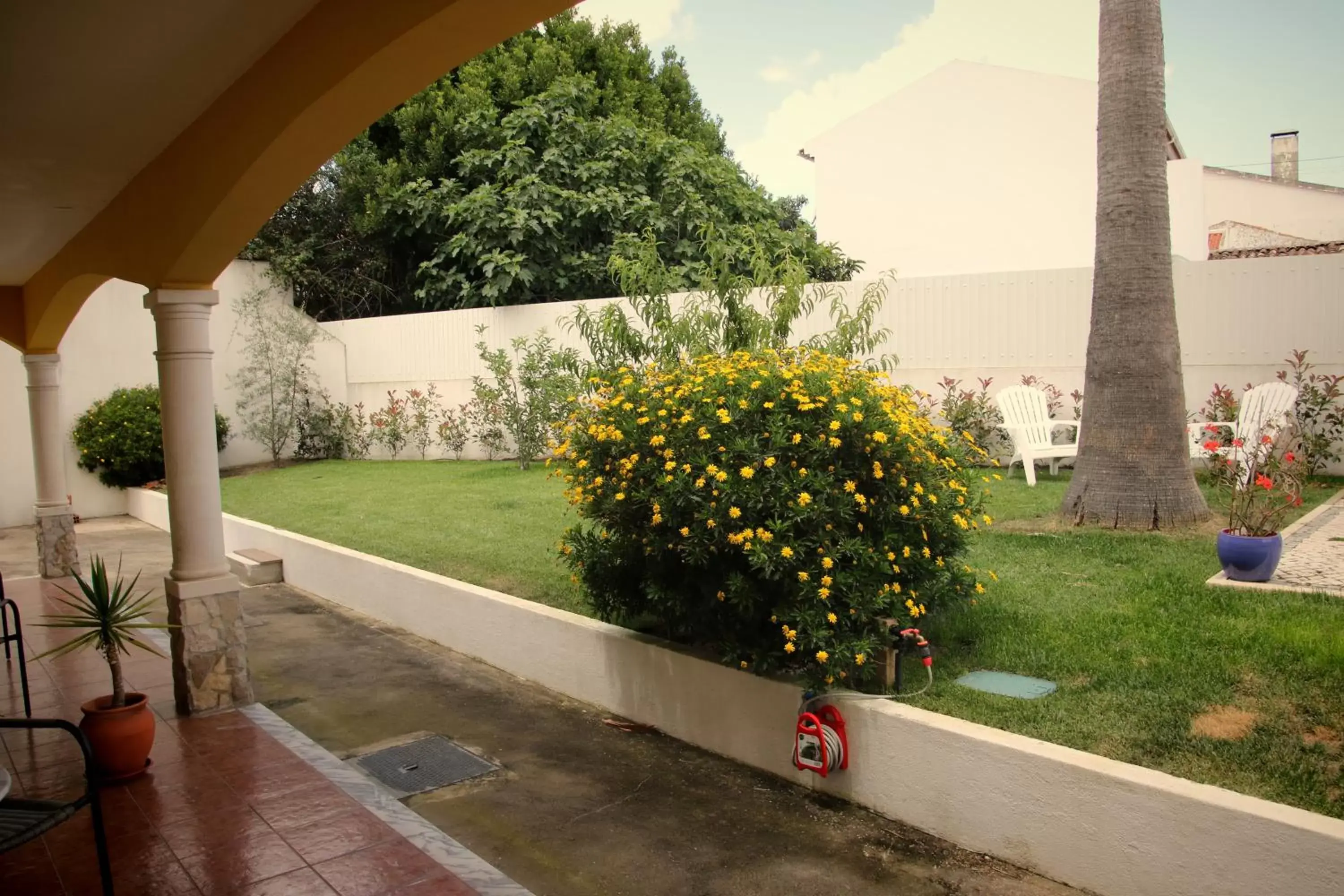Garden view, Garden in Casa das Palmas