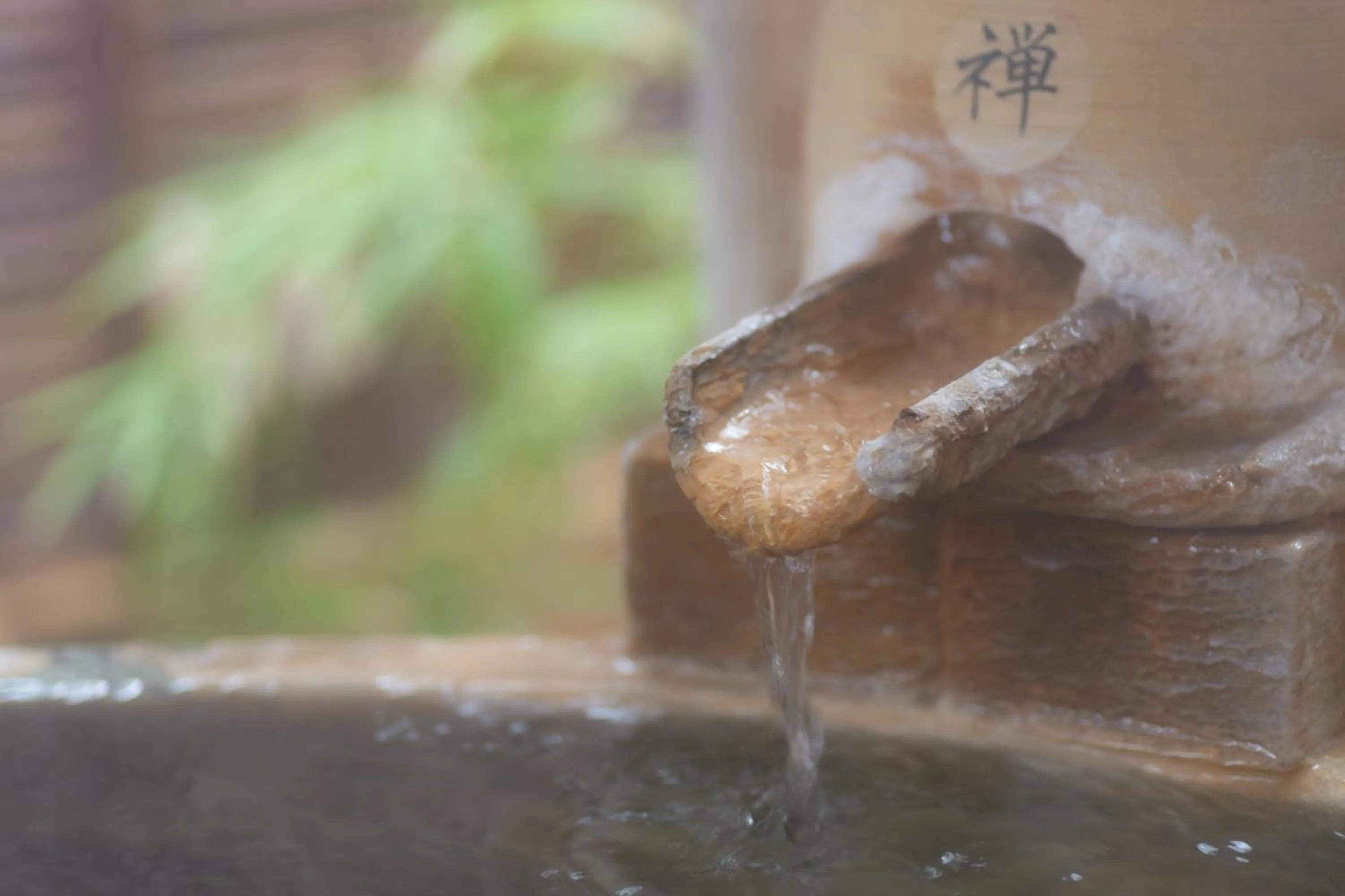 Hot Spring Bath in Oyado Ichizen
