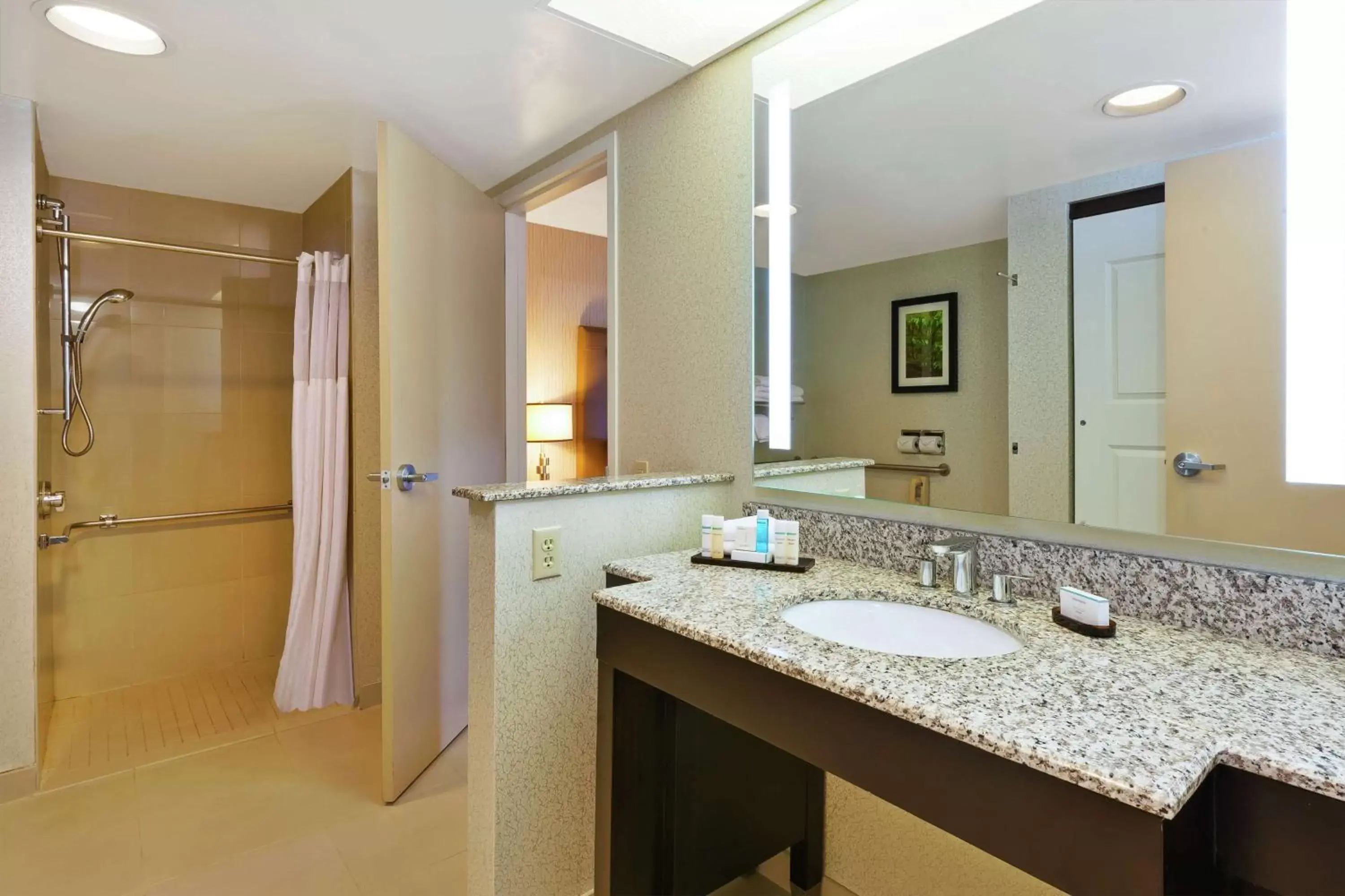 Bathroom in Embassy Suites by Hilton Auburn Hills