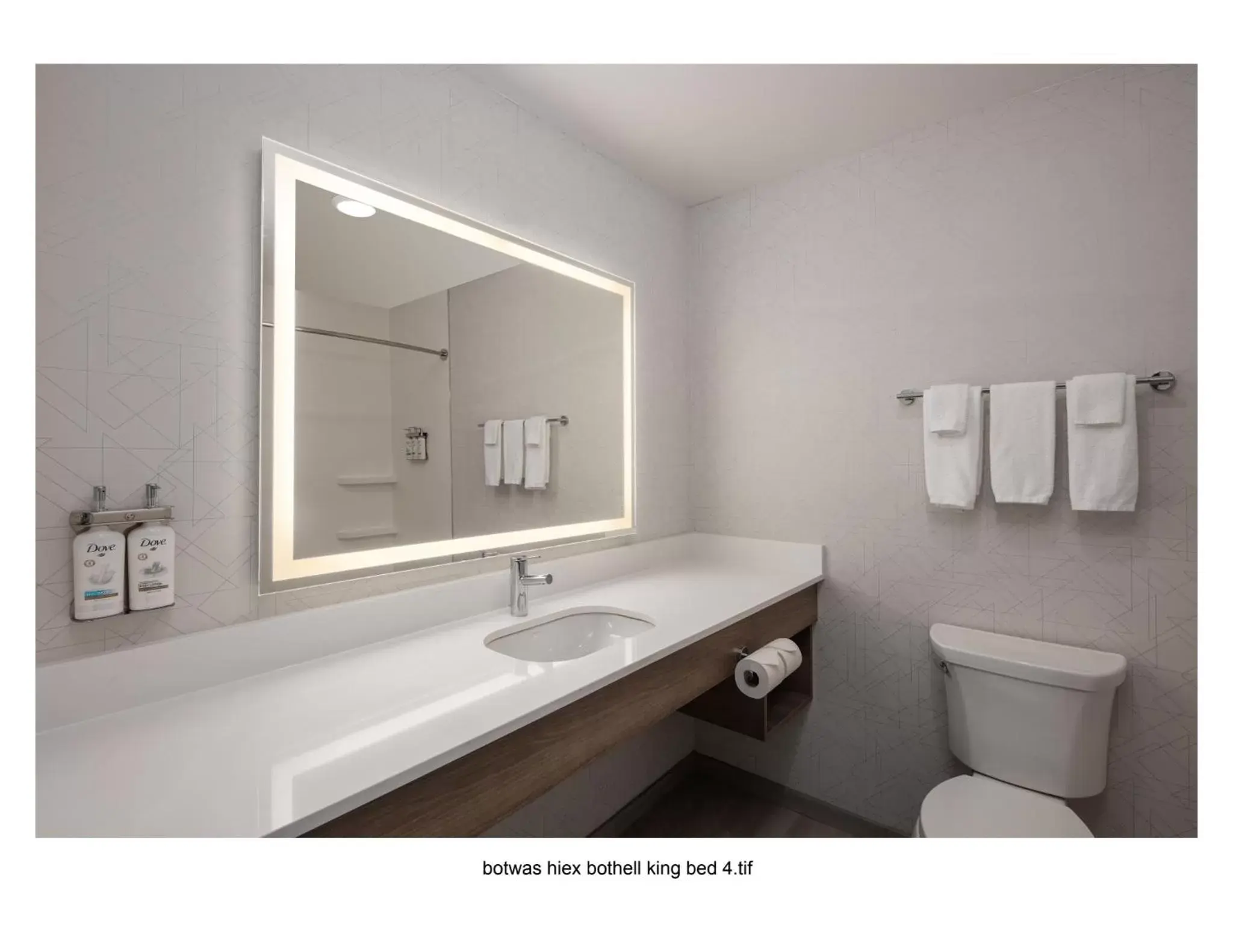 Bathroom in Holiday Inn Express Bothell, an IHG Hotel