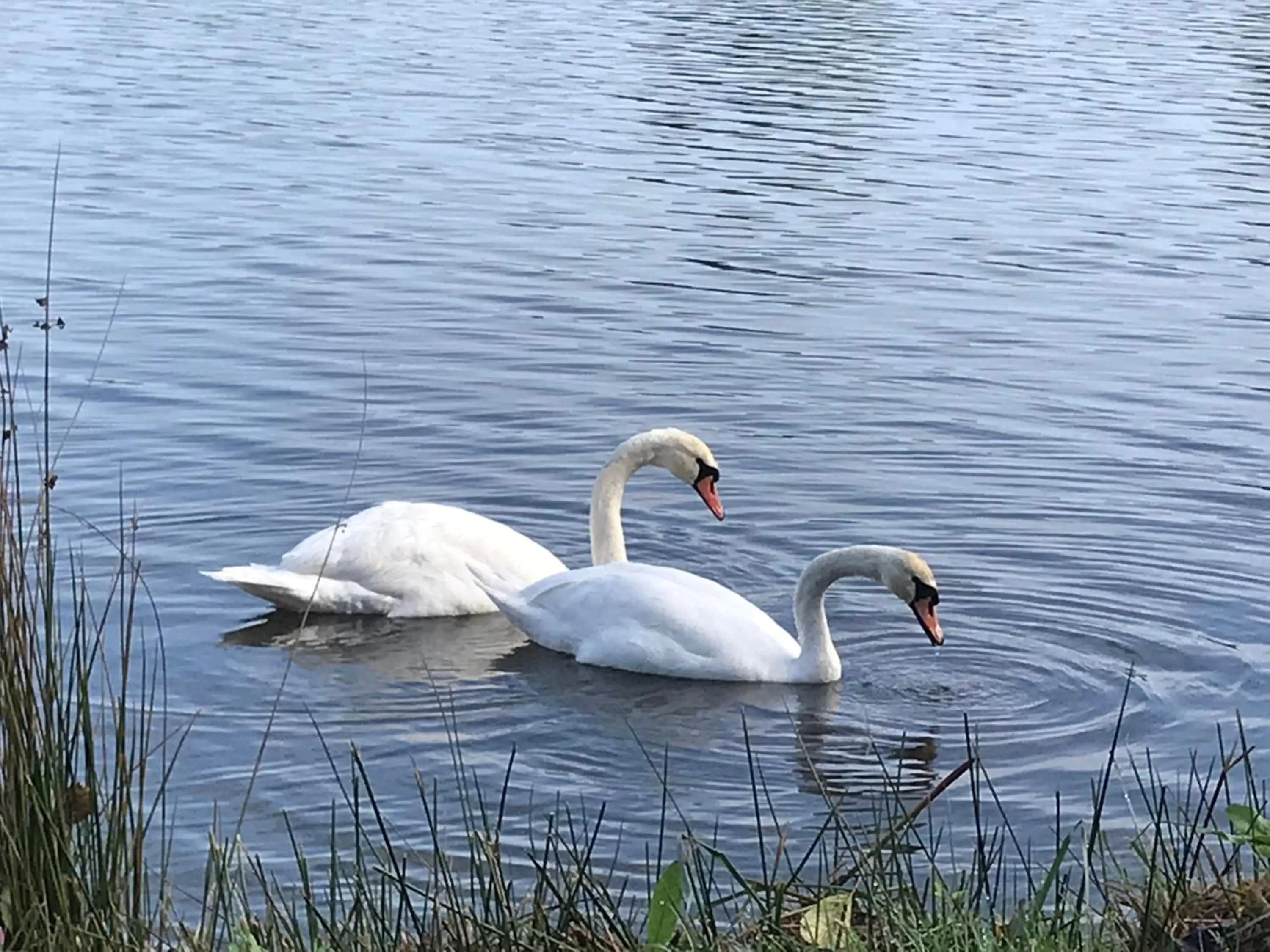 Natural landscape in Cocon de douceur à deux pas de la gare