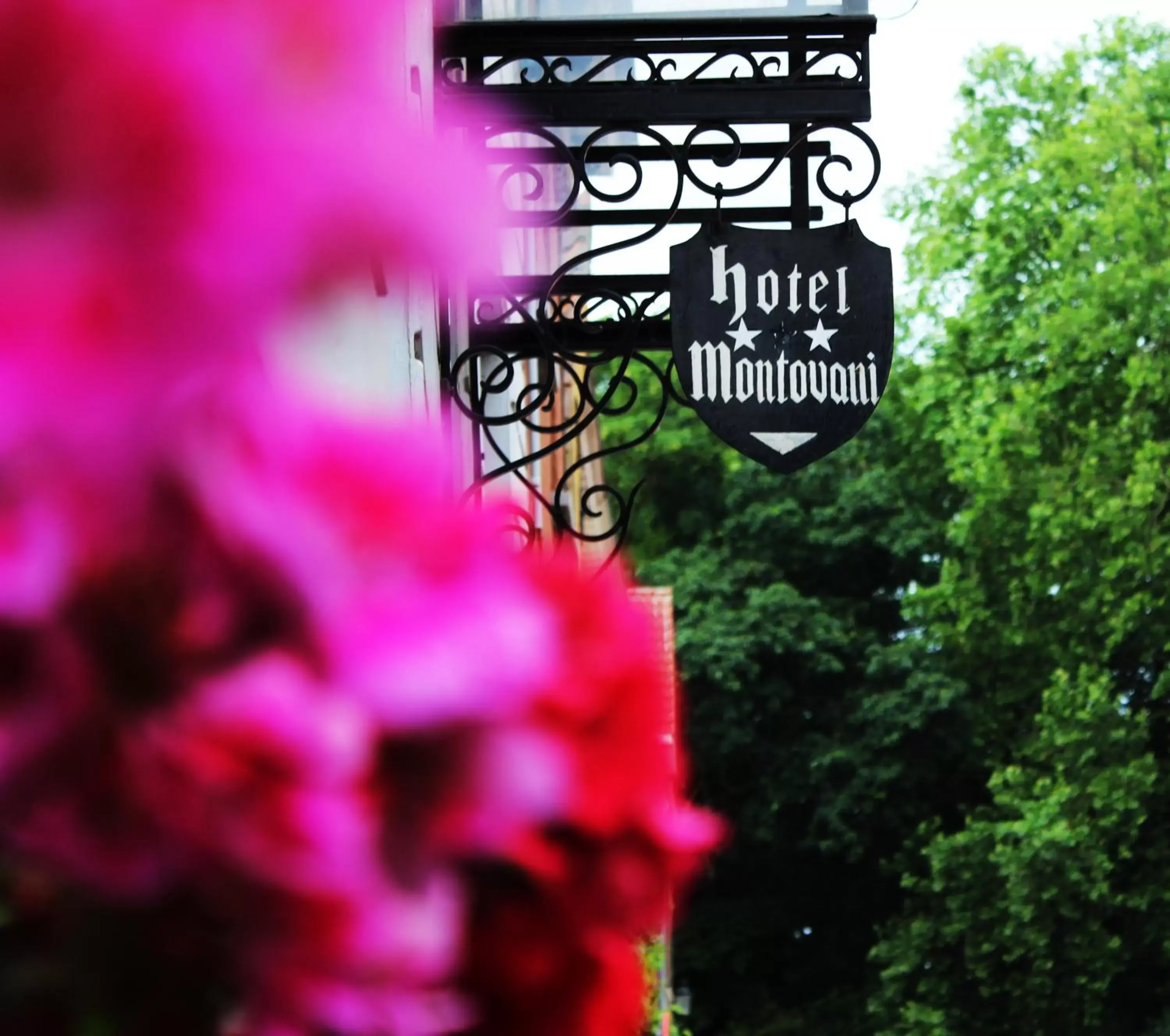 Facade/entrance in Hotel Montovani