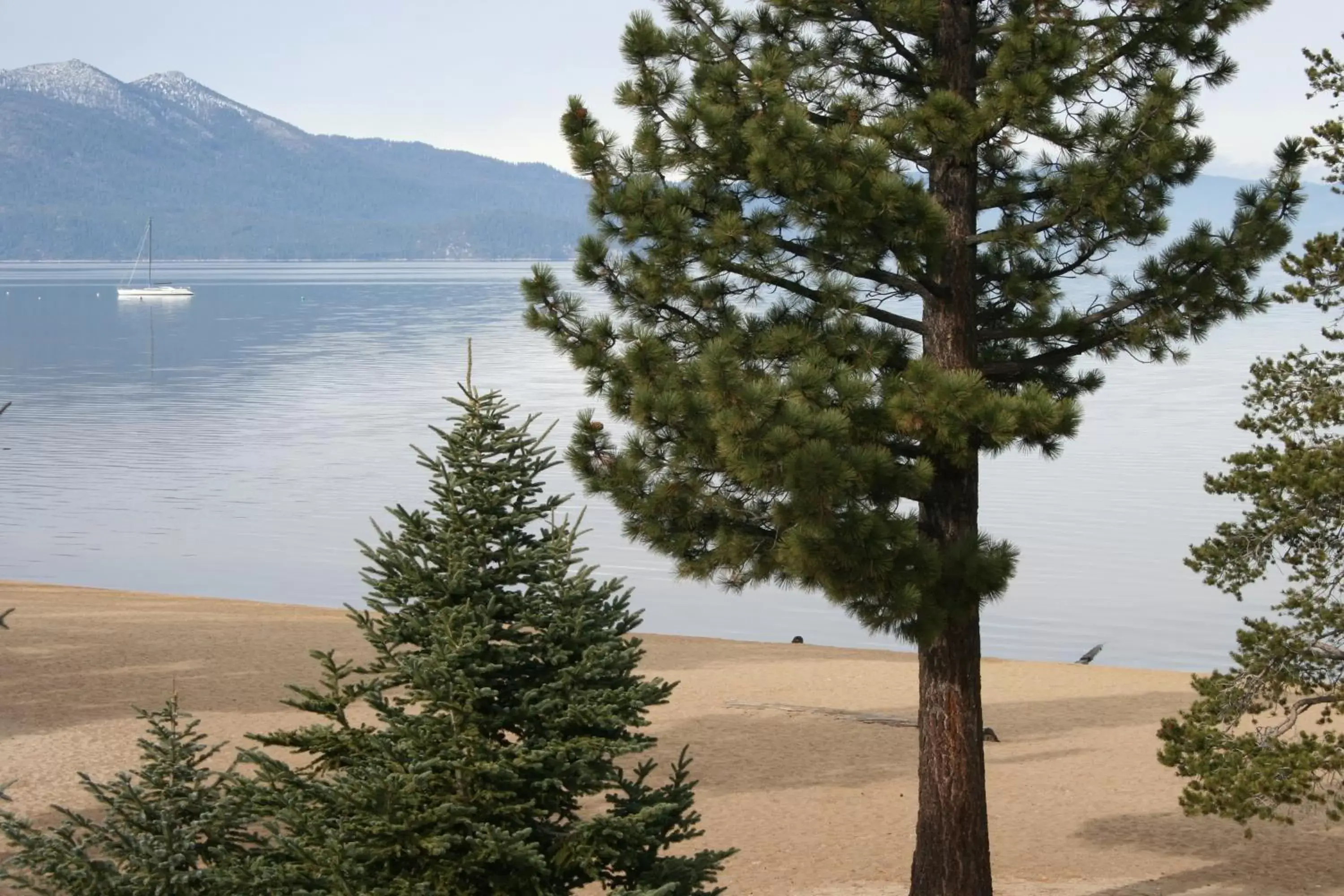 Lake view in The Tahoe Beach & Ski Club Owners Association