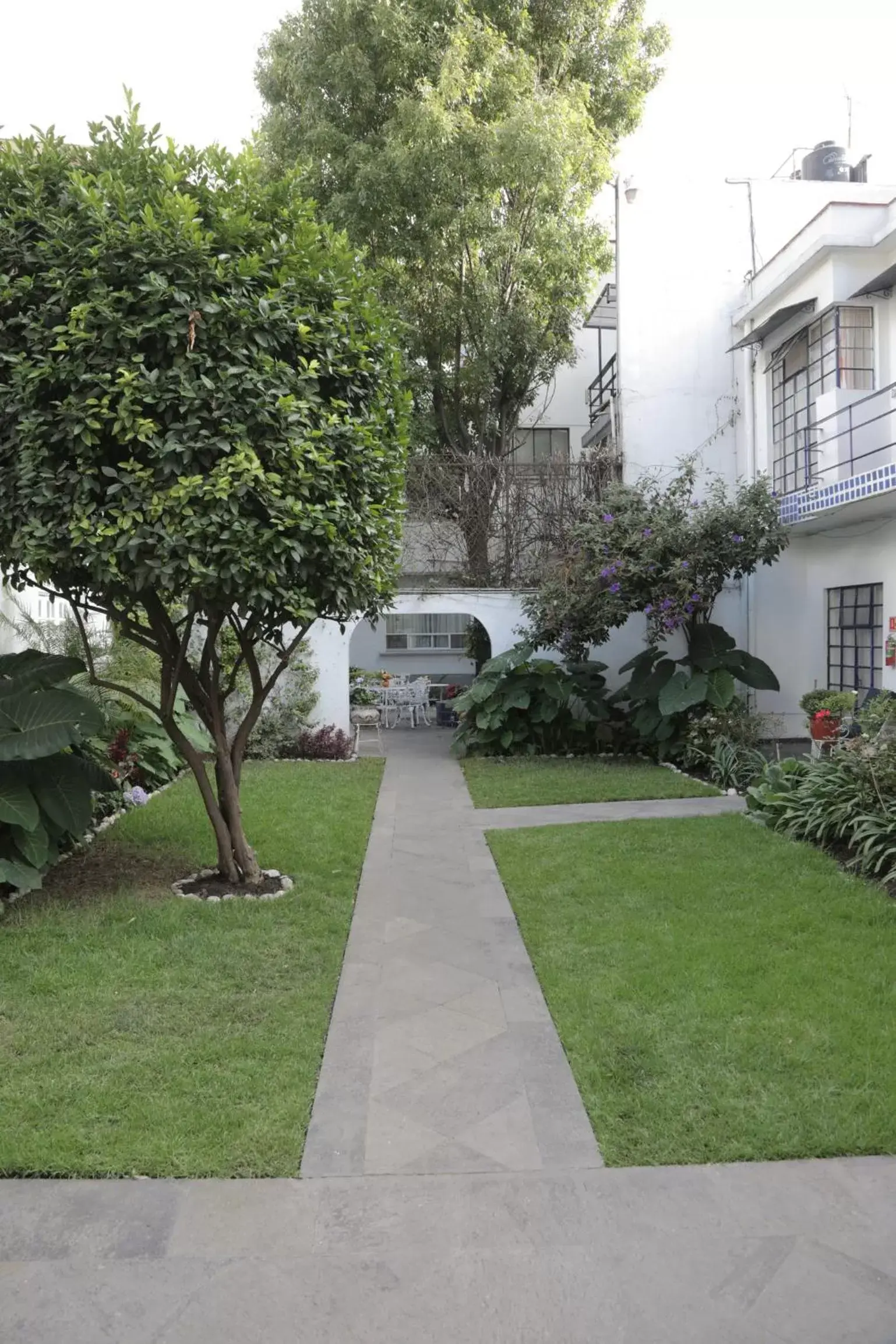 Garden in Hotel Casa Gonzalez