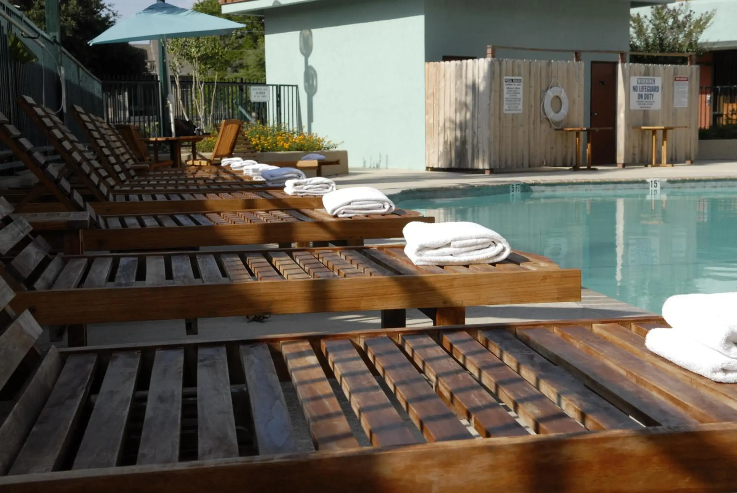 Day, Swimming Pool in Wyndham Garden Hotel Austin