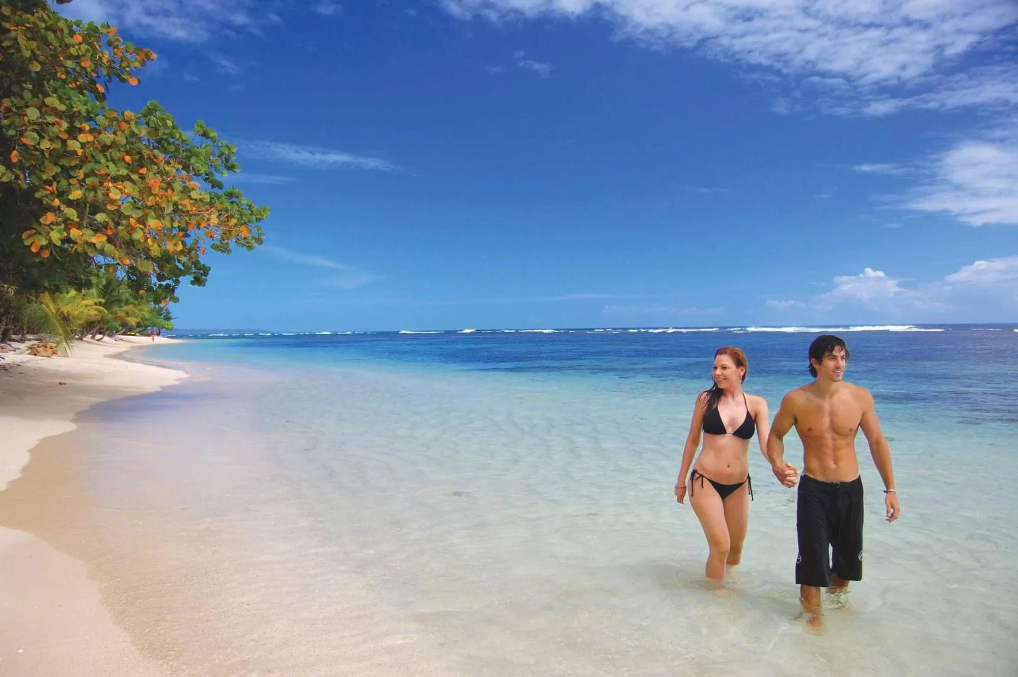 Beach in Playa Tortuga Hotel and Beach Resort