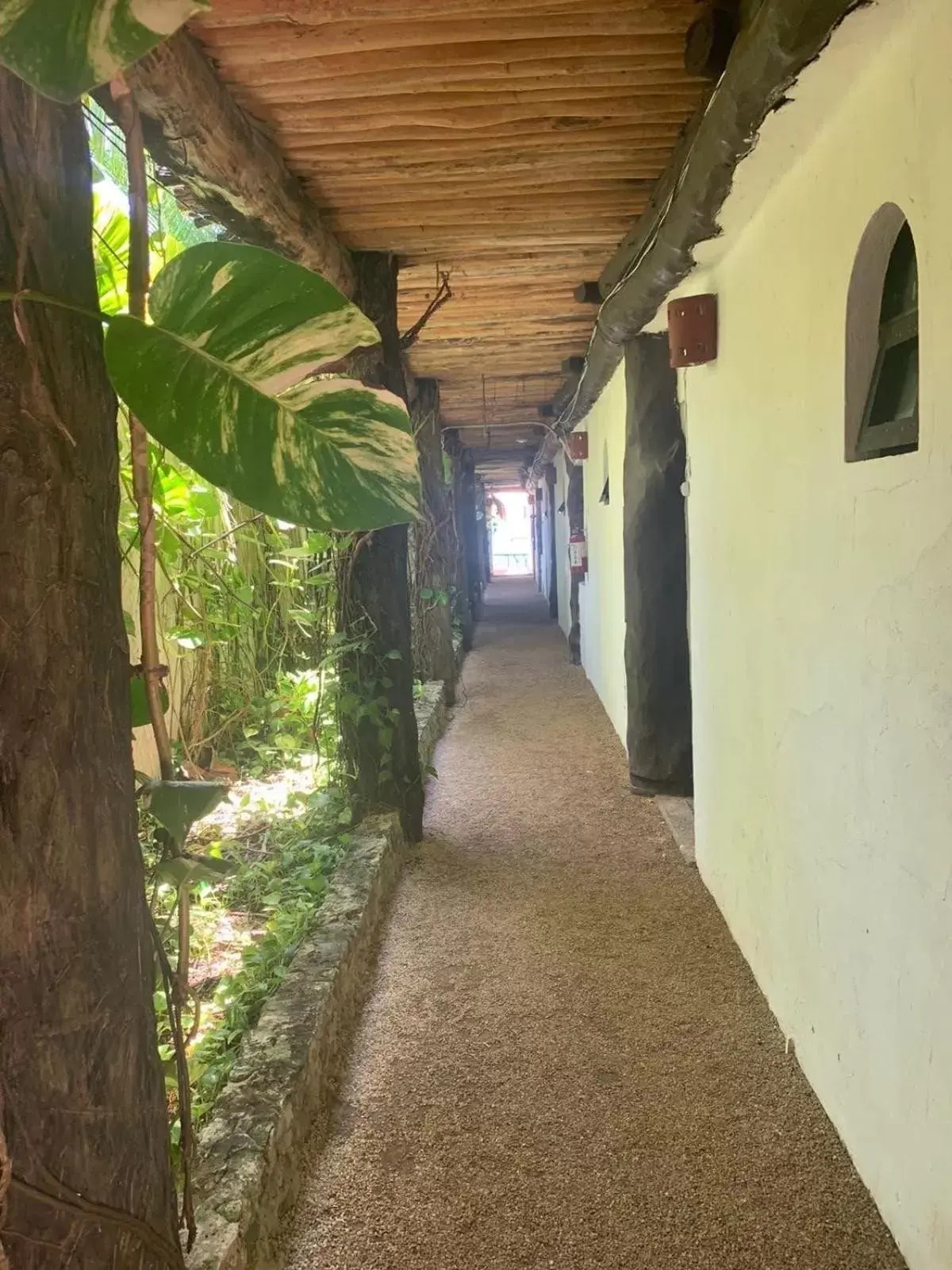 Patio in Casa Caribe Cancun