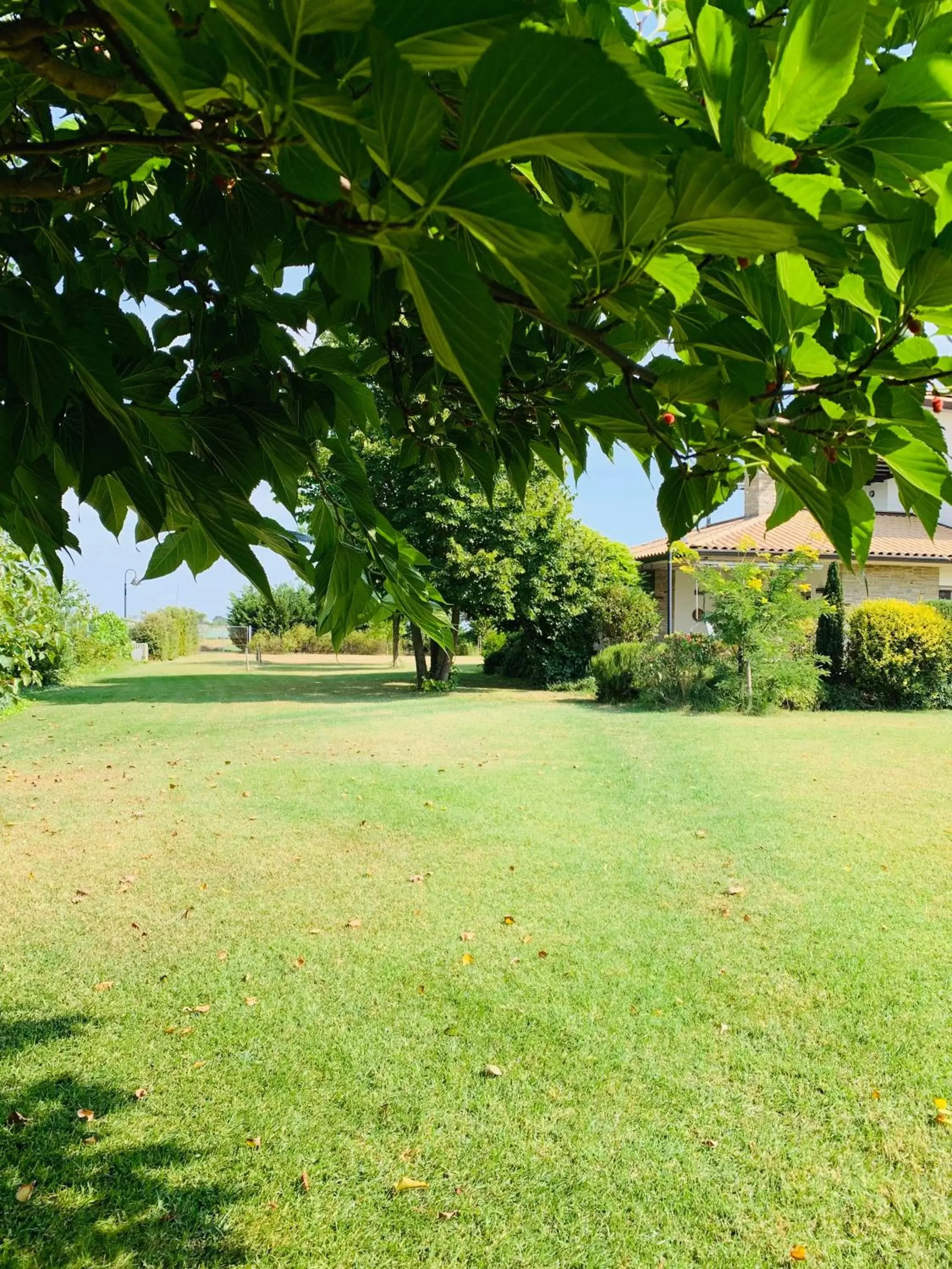 Garden in B&B Beauty House