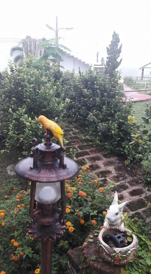 Scenic Riverside Resort