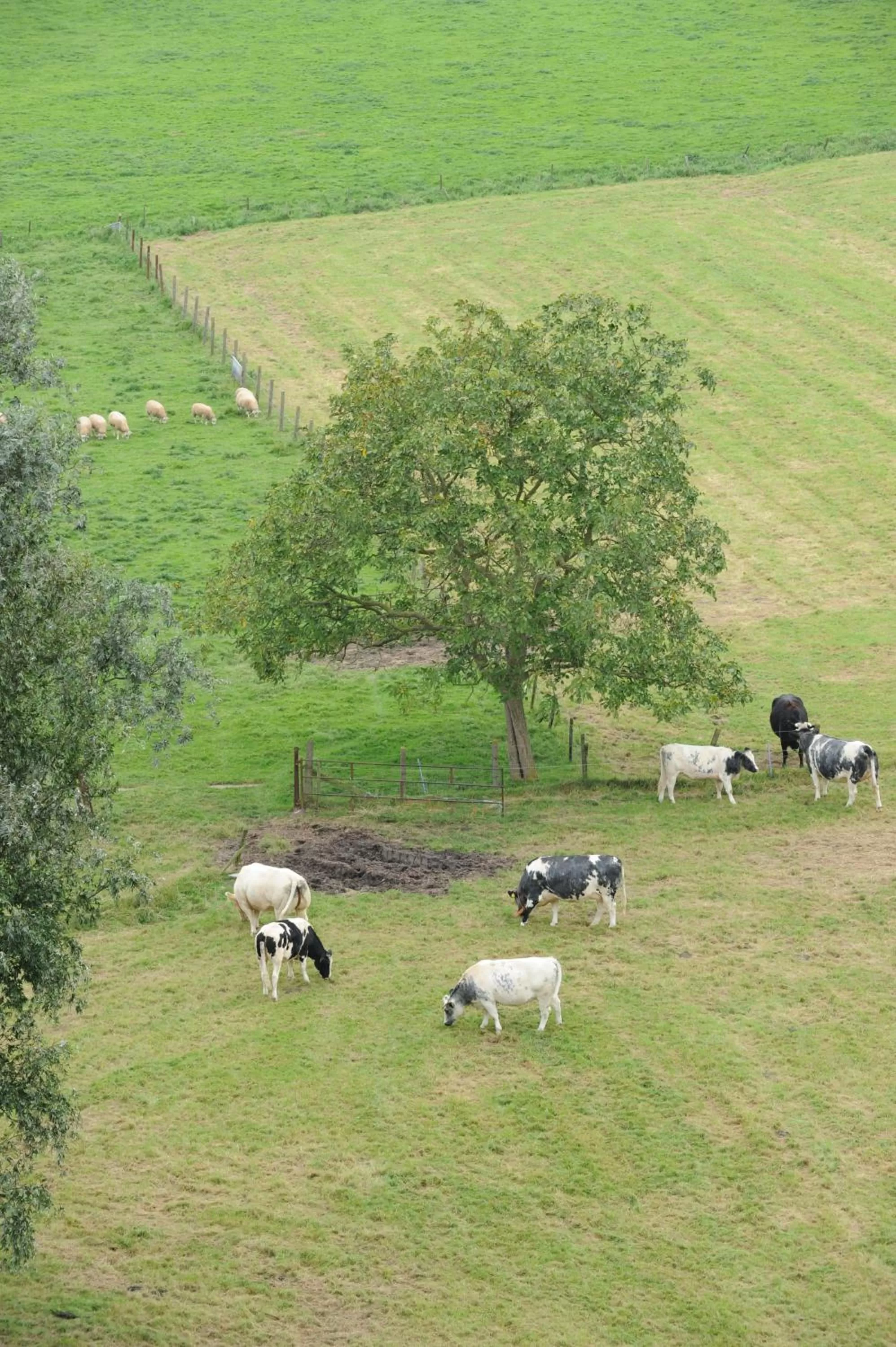 Natural landscape in Hotel de Watertoren