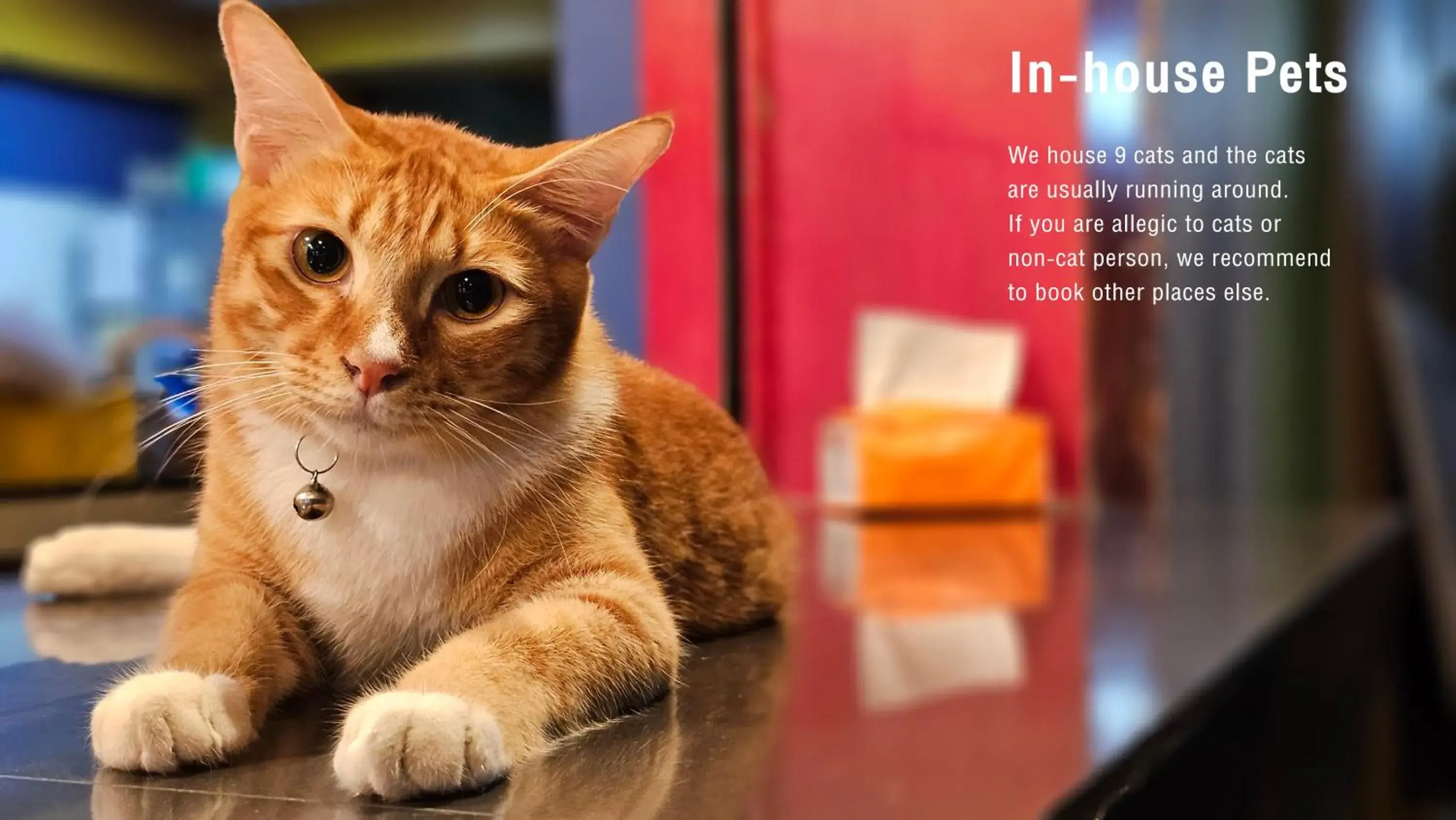 Salsa Hostel Salsa Hostel