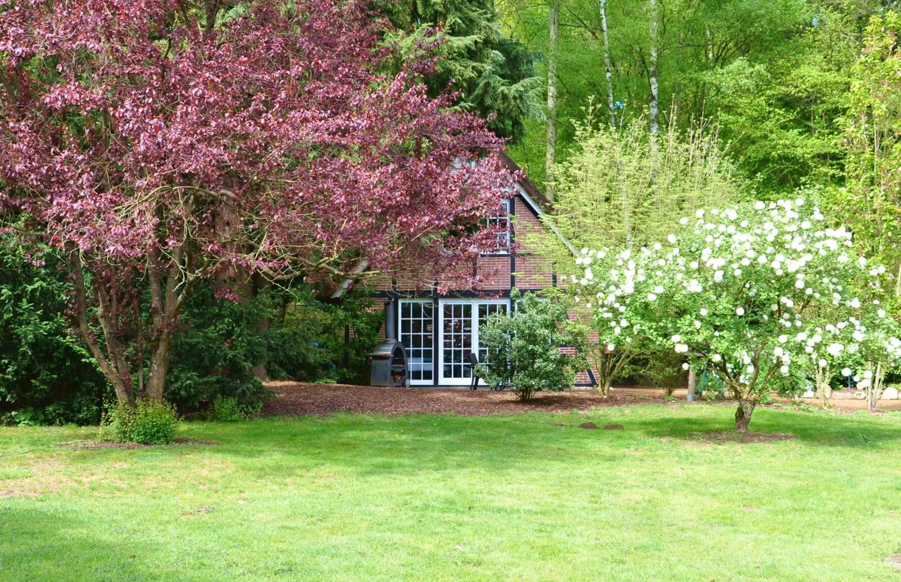 Garden in Meinsbur Boutique Hotel