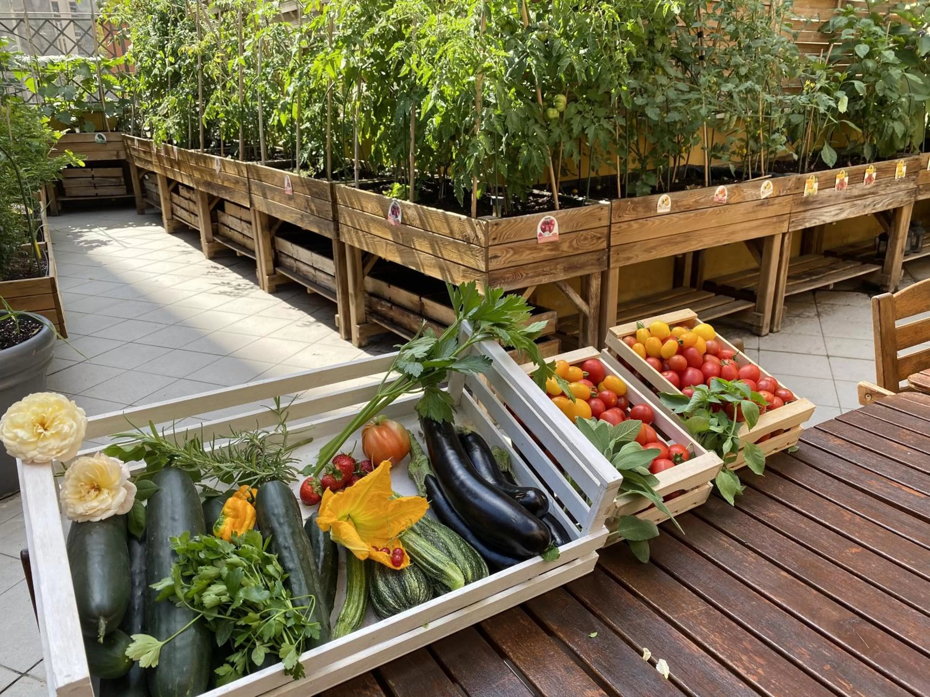 Garden in Trilussa Palace Hotel Congress & Spa