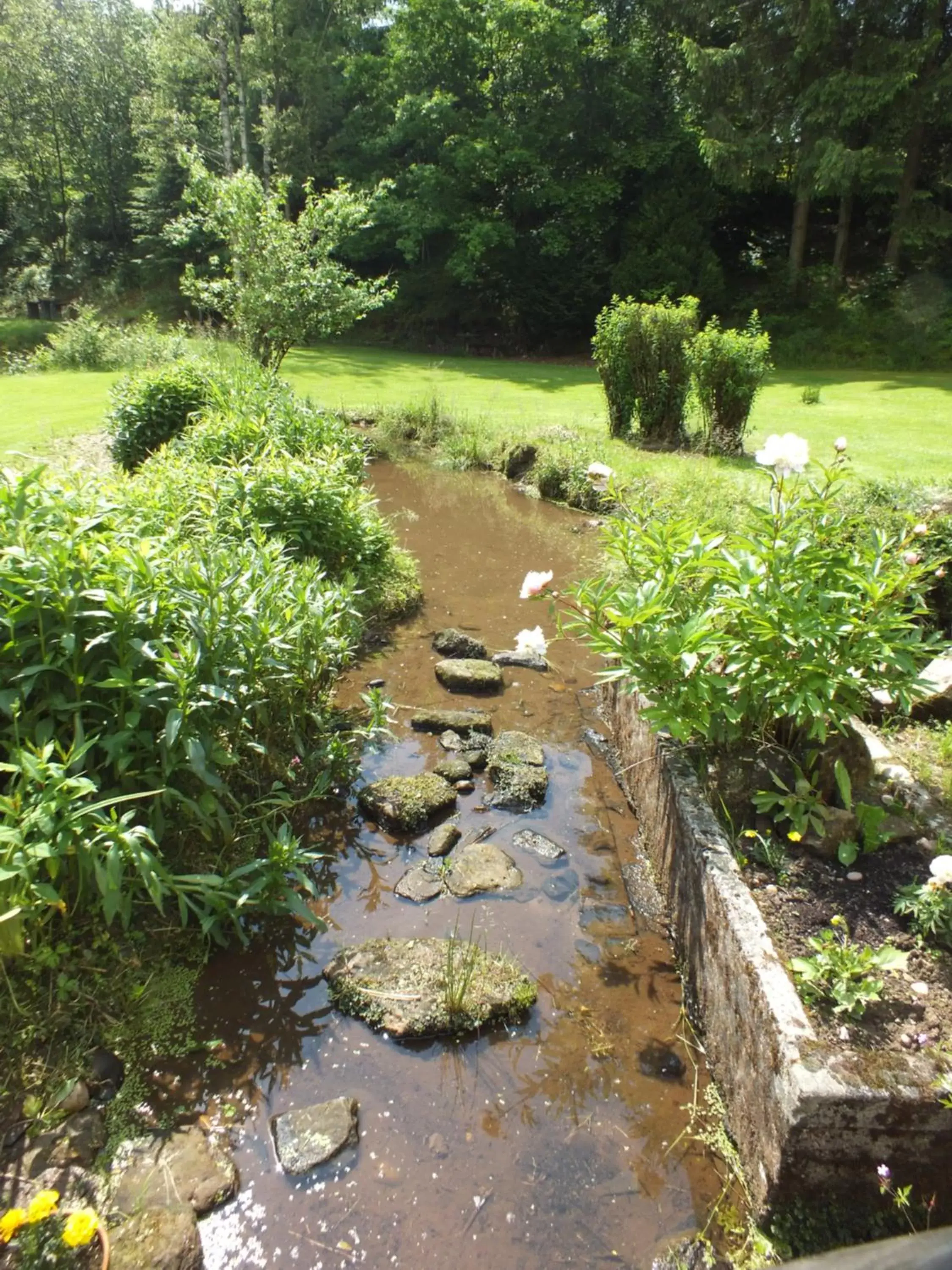 Garden in Chambres d'hôtes La Charmante