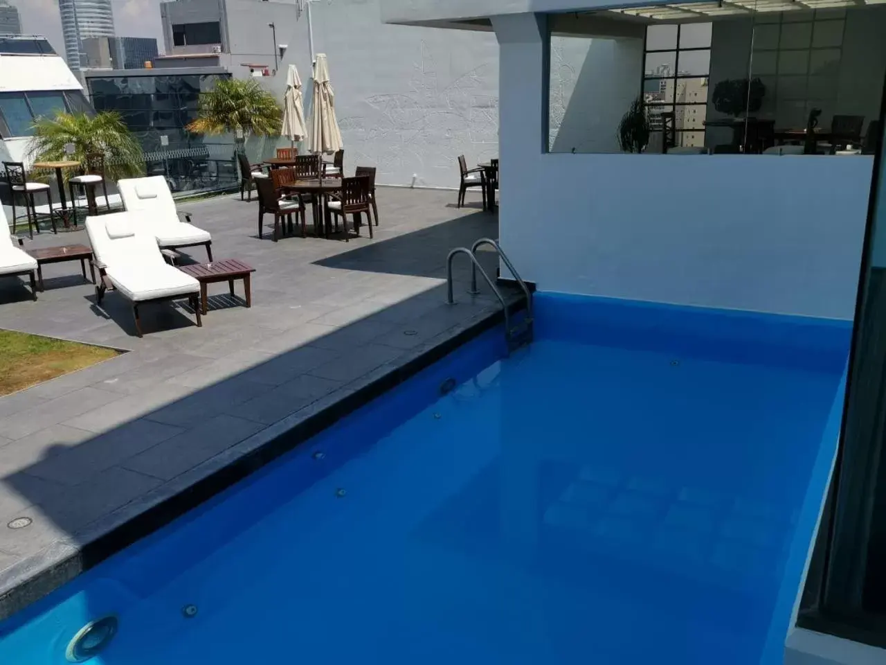 Balcony/Terrace, Swimming Pool in Hotel Royal Reforma