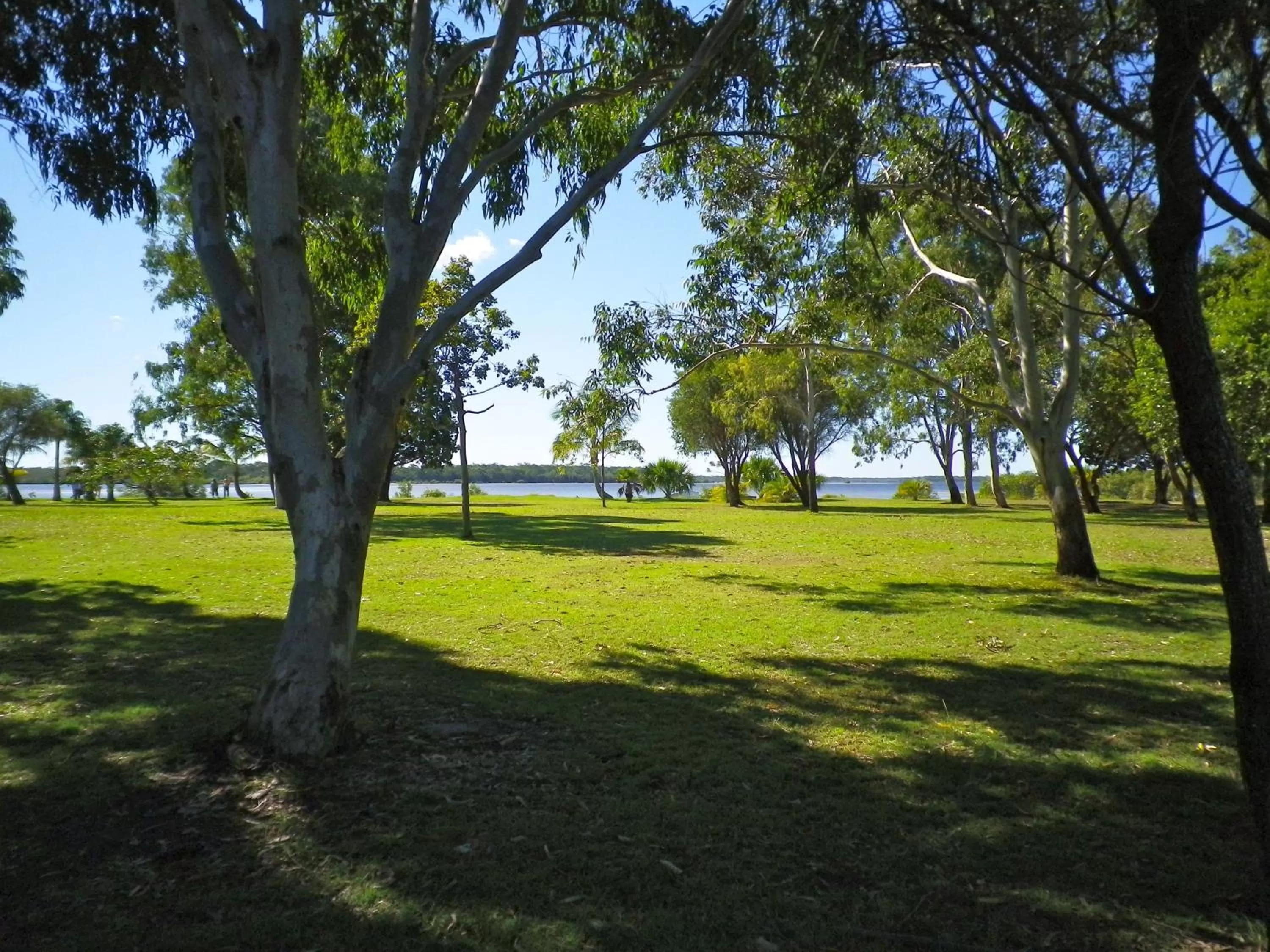Natural landscape in Tin Can Bay's Sleepy Lagoon Motel