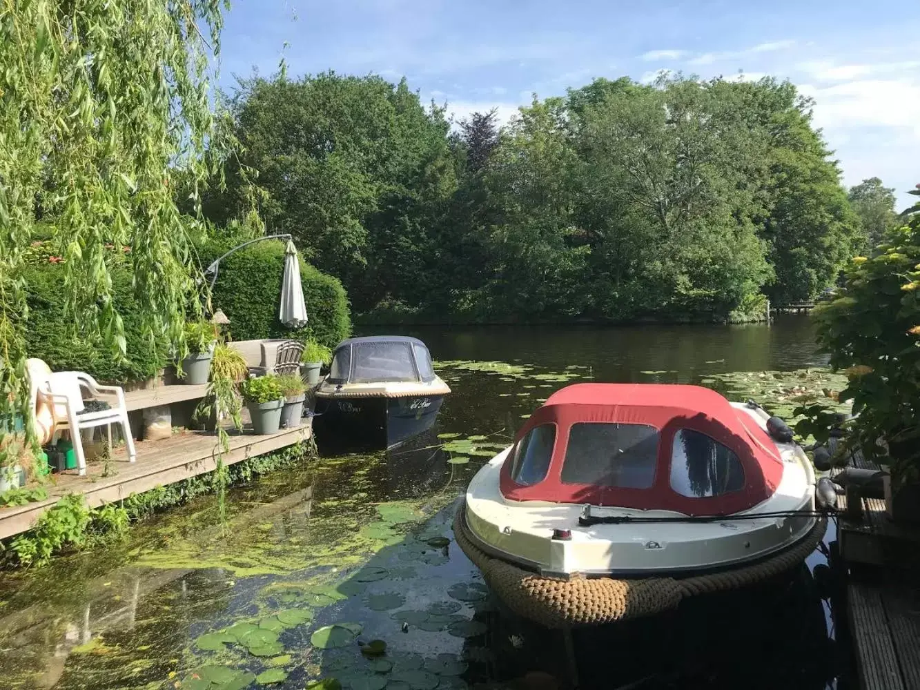 Lake view in Tiny House Boatshed