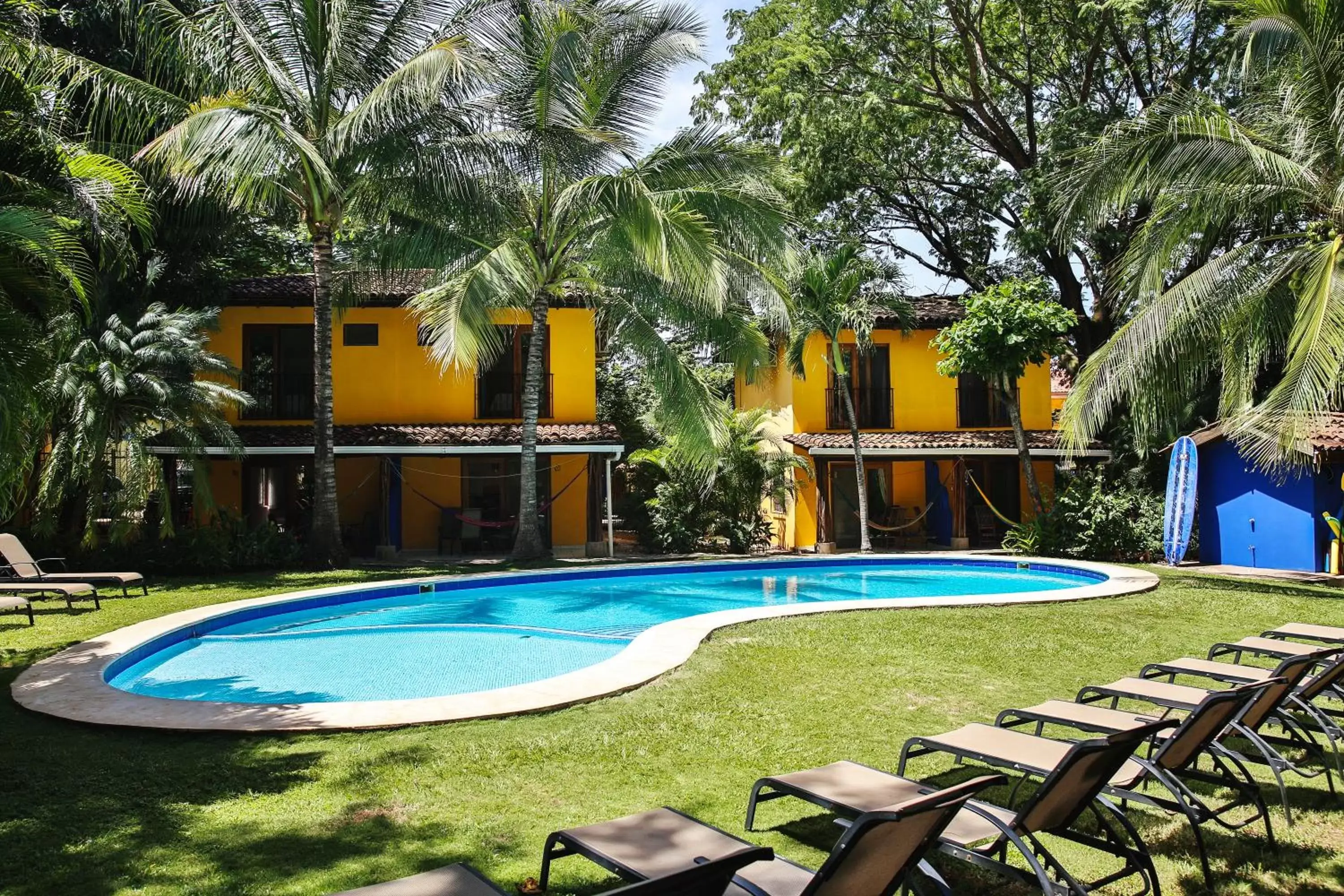 Garden, Swimming Pool in Villas Macondo