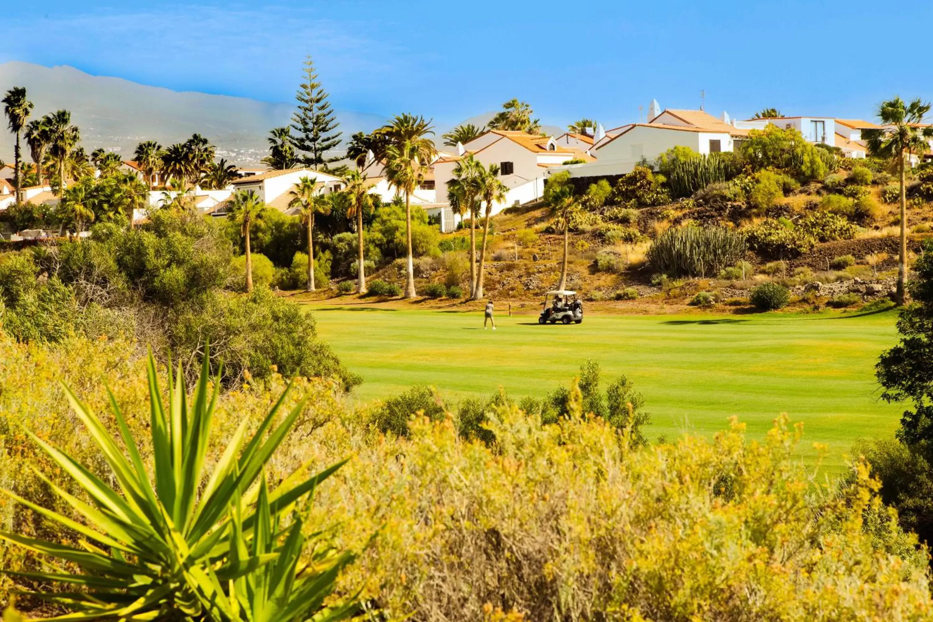 Garden in Wyndham Residences Golf del Sur