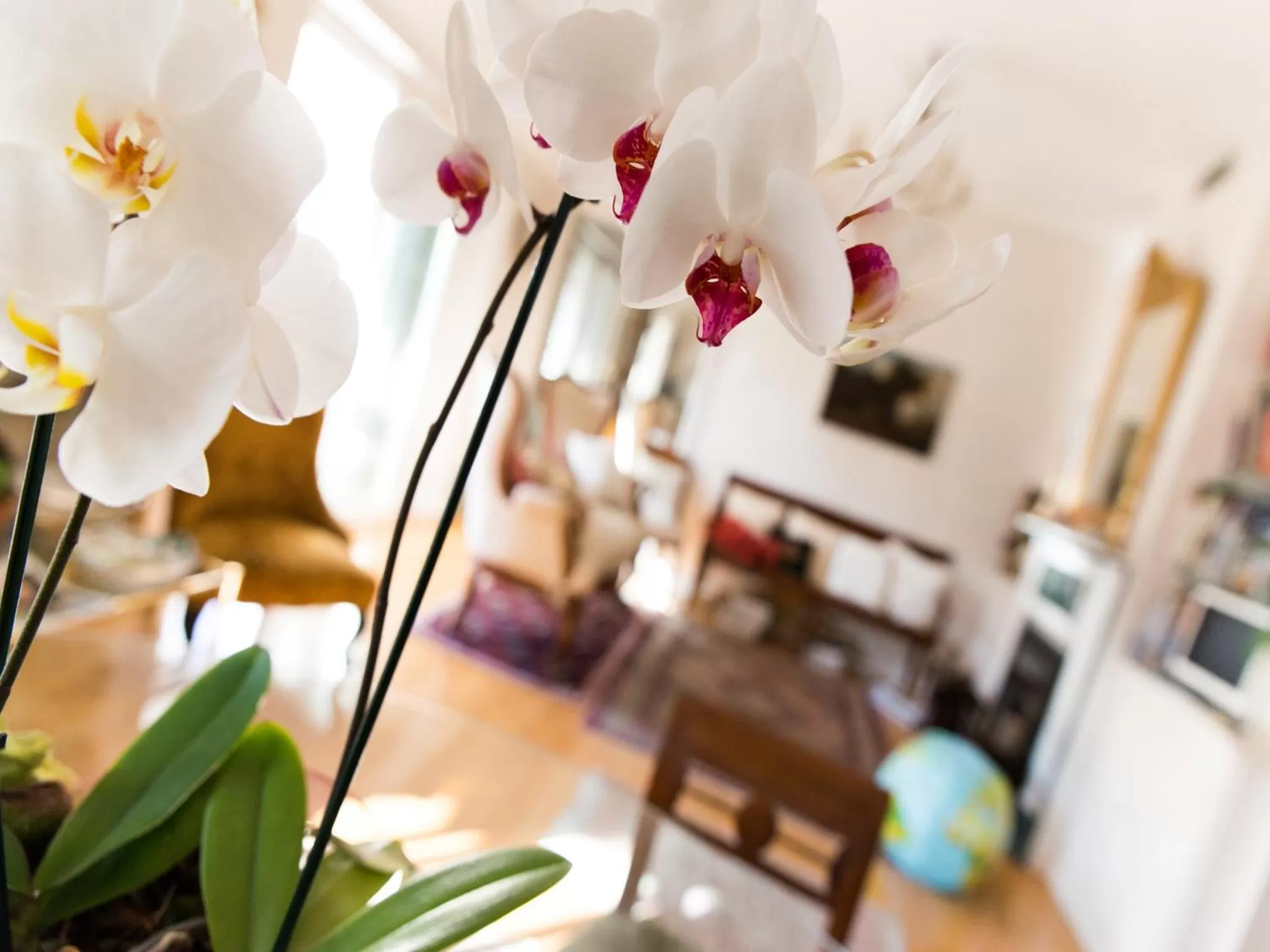 Decorative detail in Casa Malena