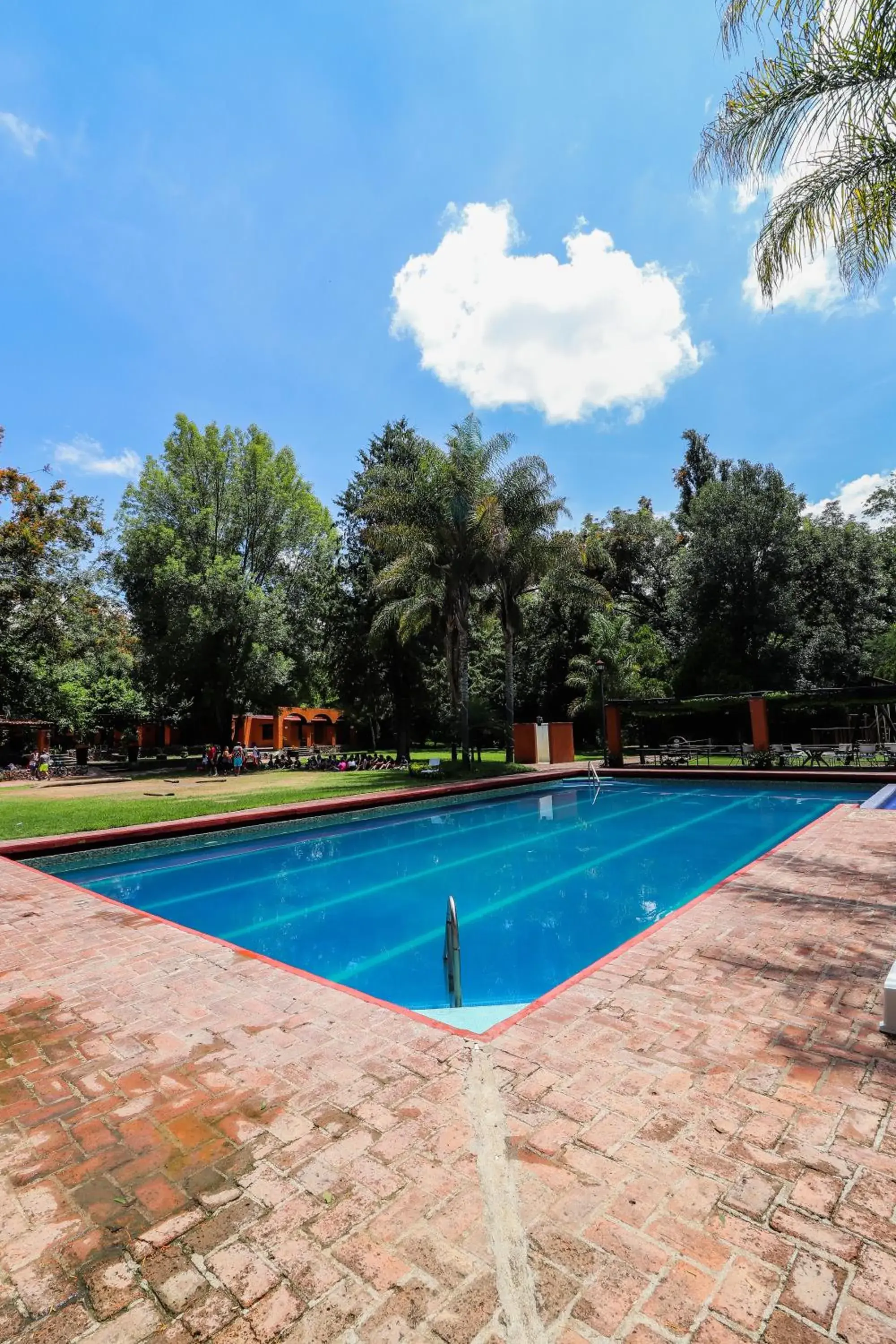 Activities, Swimming Pool in El Marques Hacienda
