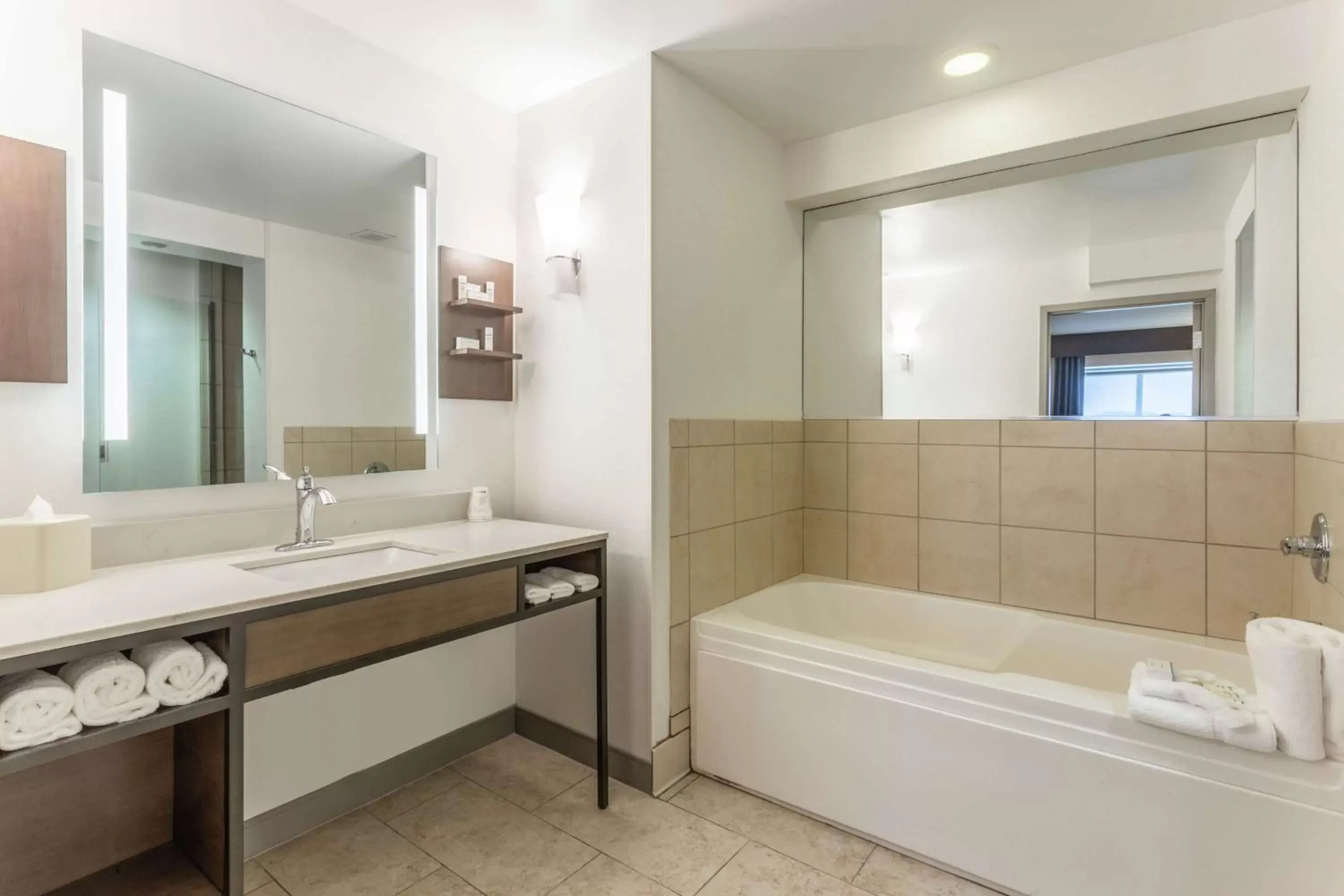 Bathroom in Hilton Garden Inn Chicago/Tinley Park