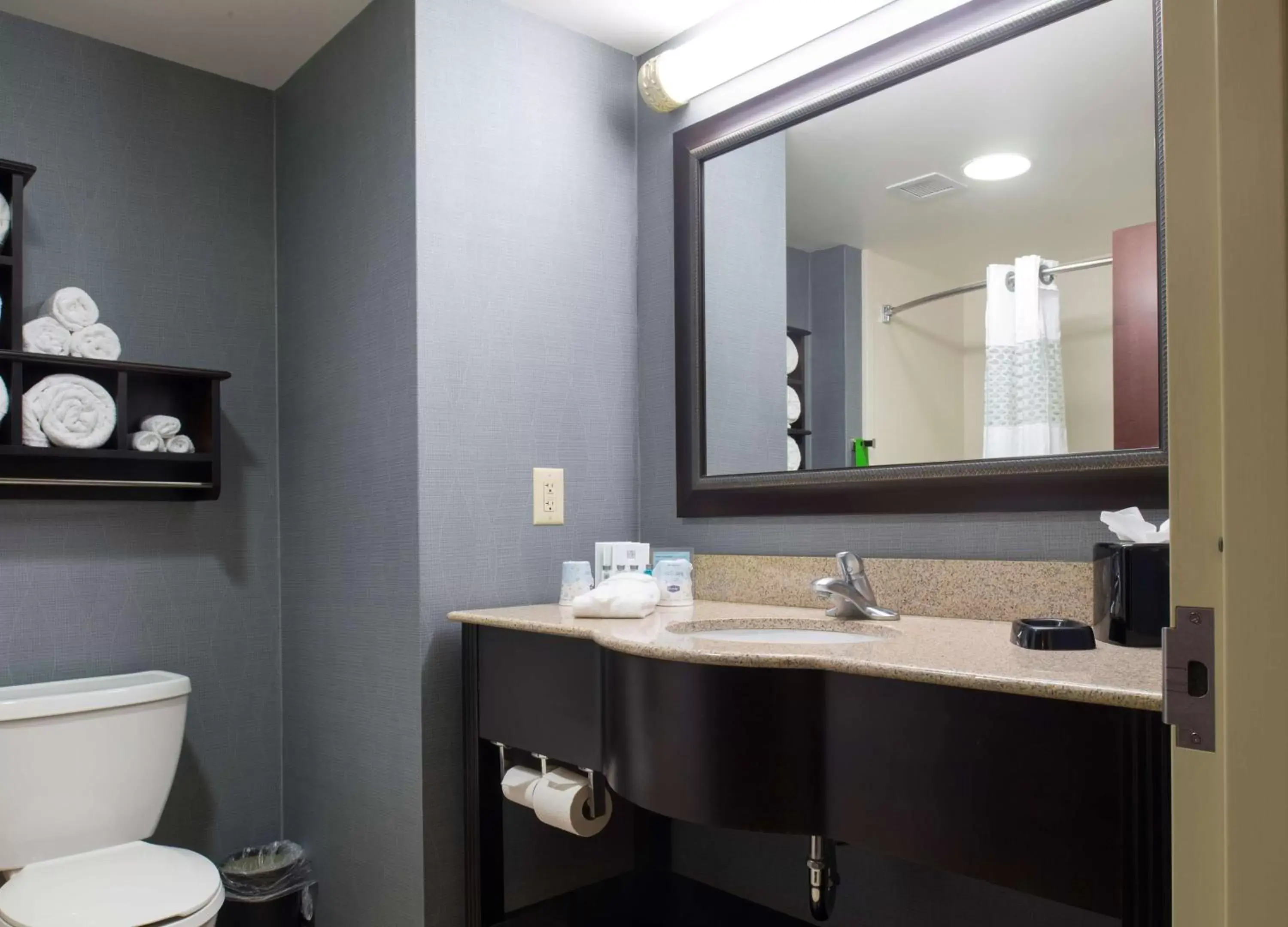 Bathroom in Hampton Inn & Suites Vineland