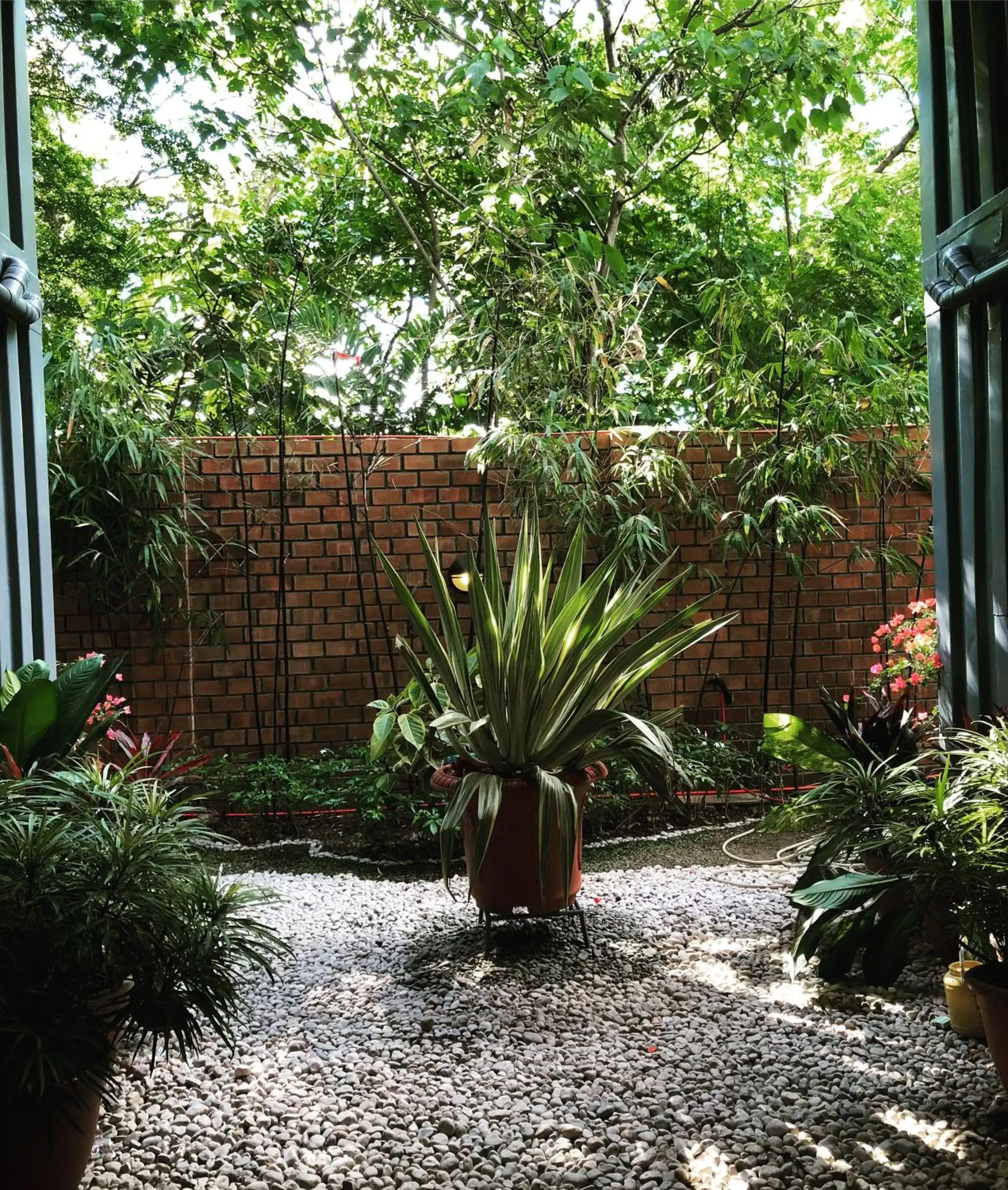Garden in The Madeline Boutique Hotel & Suites
