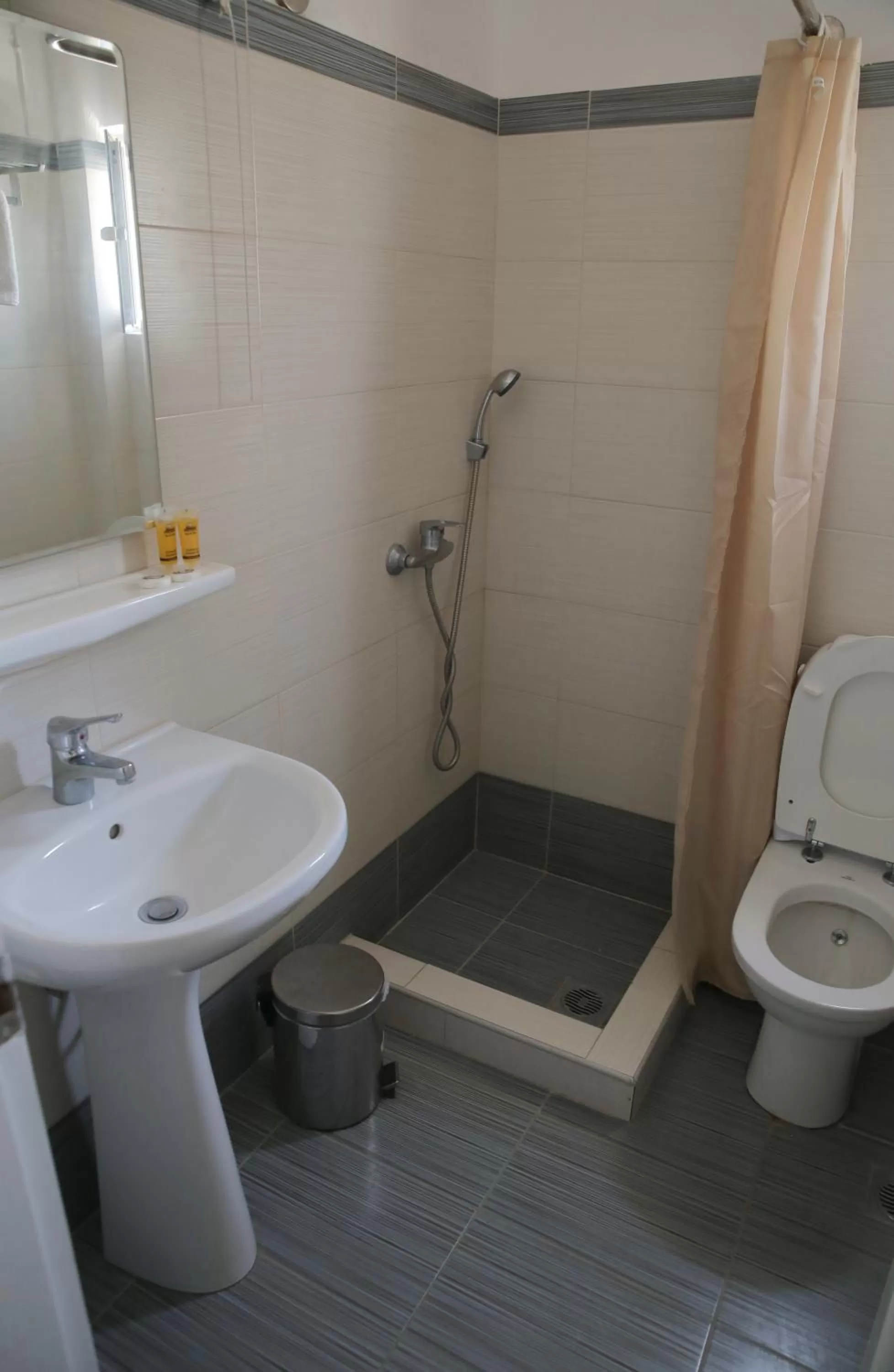 Bathroom in Hotel Anesi