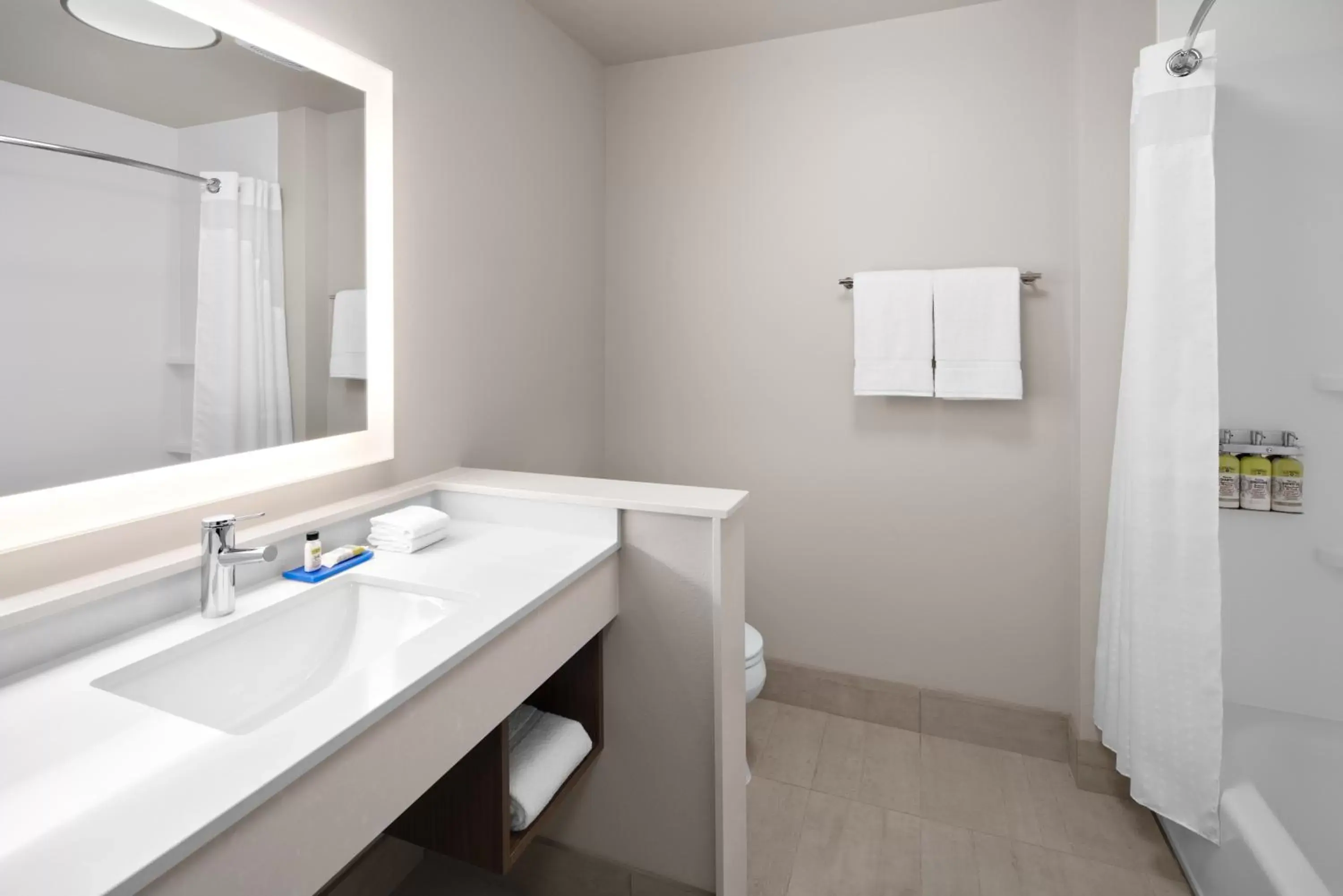 Bathroom in Holiday Inn Express & Suites - Elkhorn - Lake Geneva Area, an IHG Hotel