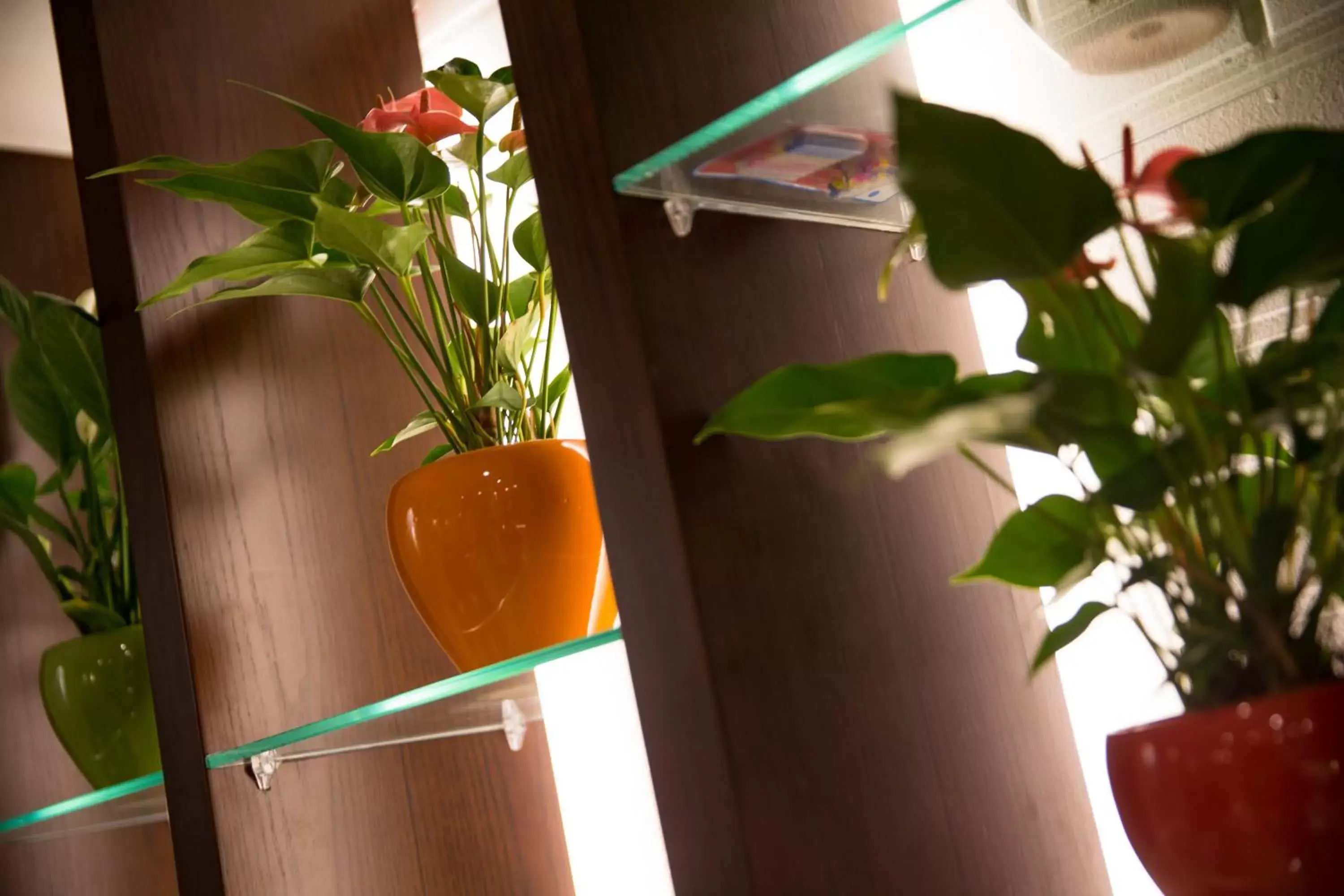 Restaurant/places to eat in Holiday Emerald Hotel Restaurant/places to eat in Holiday Emerald Hotel