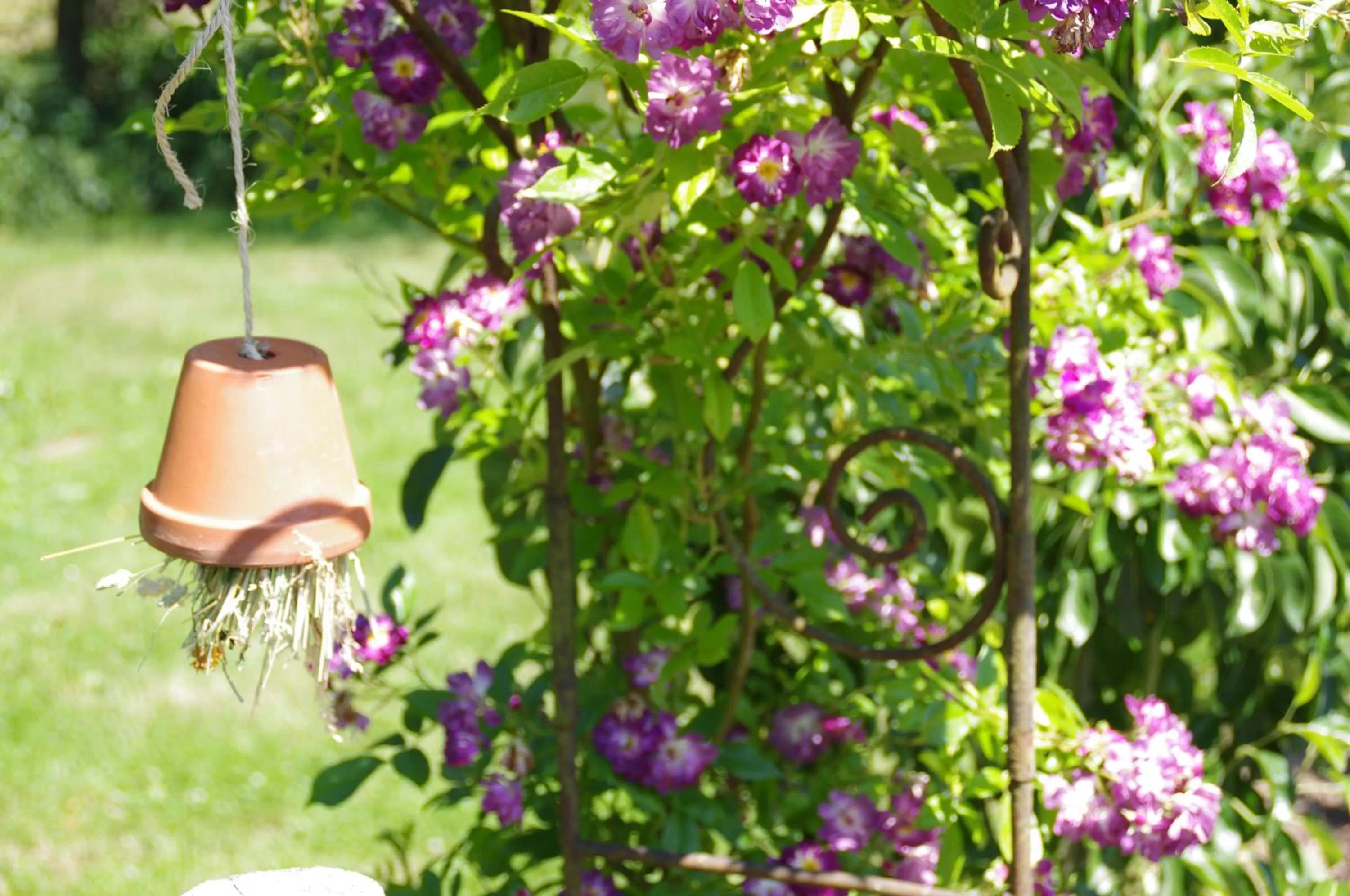 Garden in Hostellerie La Claire Fontaine, Logis hôtels & Spa